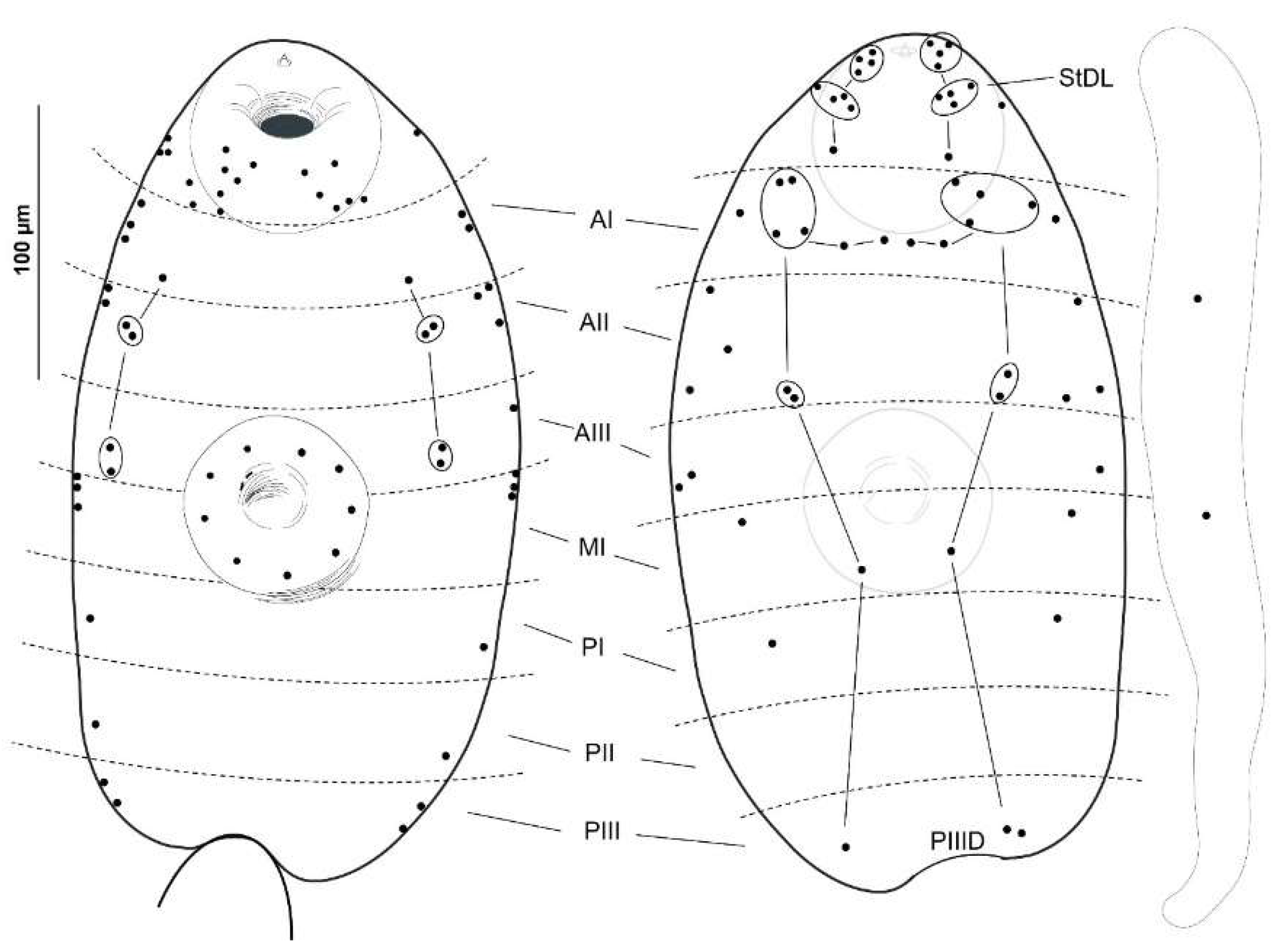 Animals 14 01154 g003
