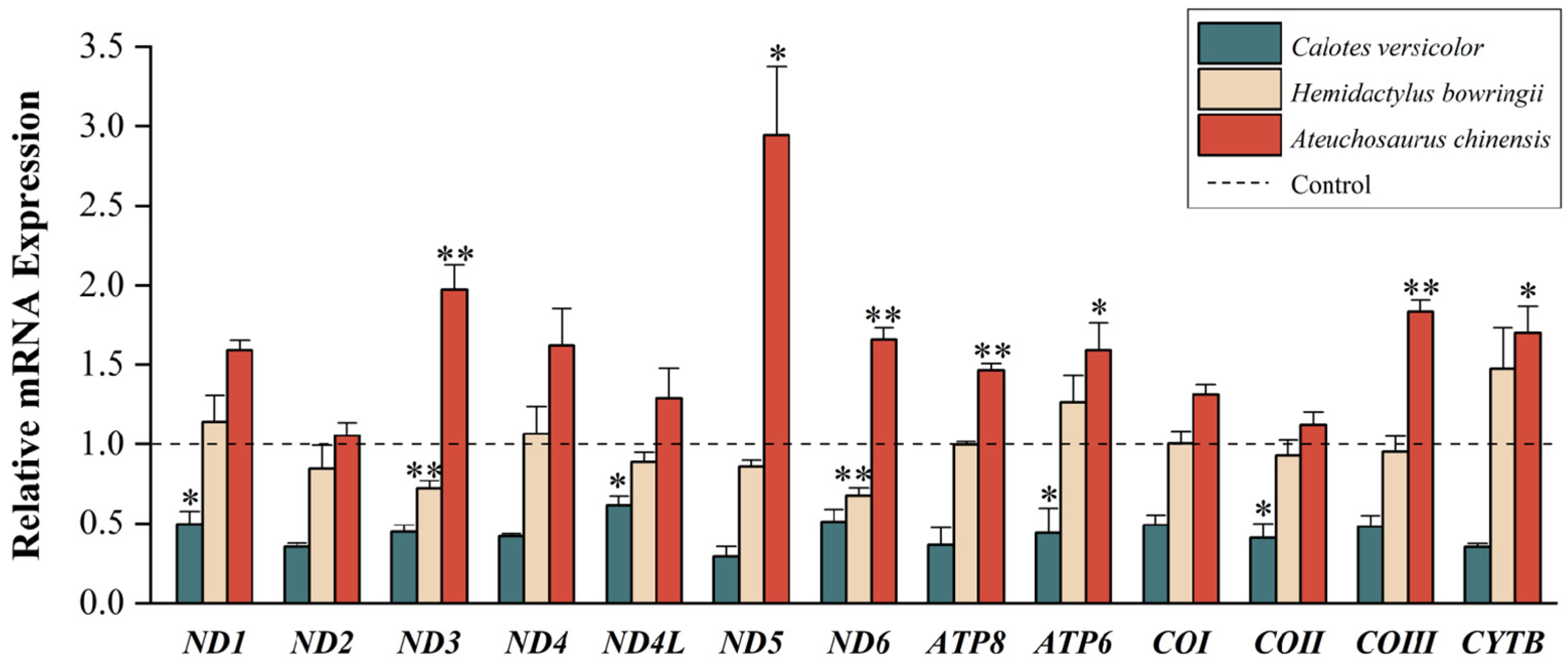 Animals 14 01158 g002