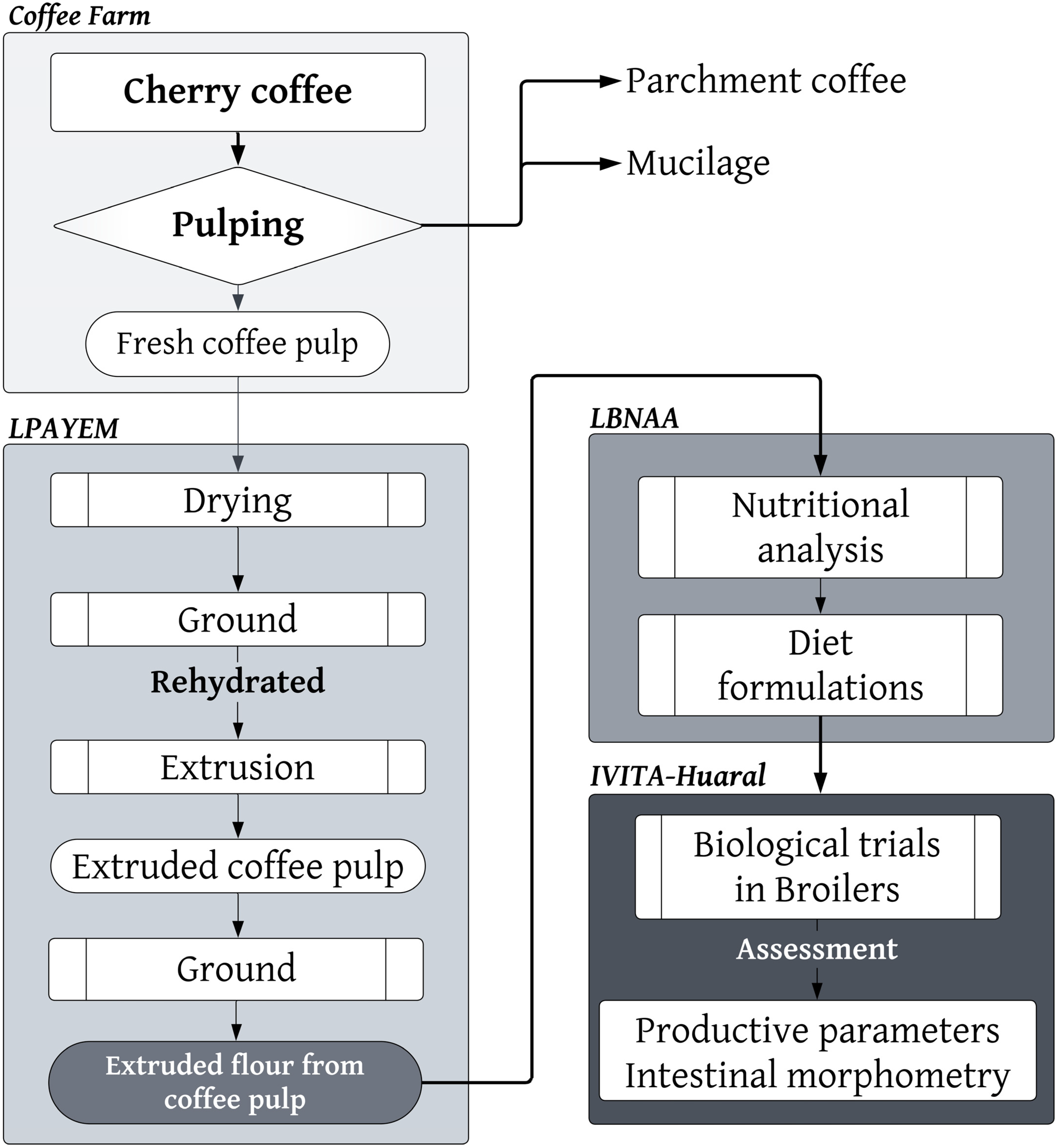 Animals 14 01170 g001