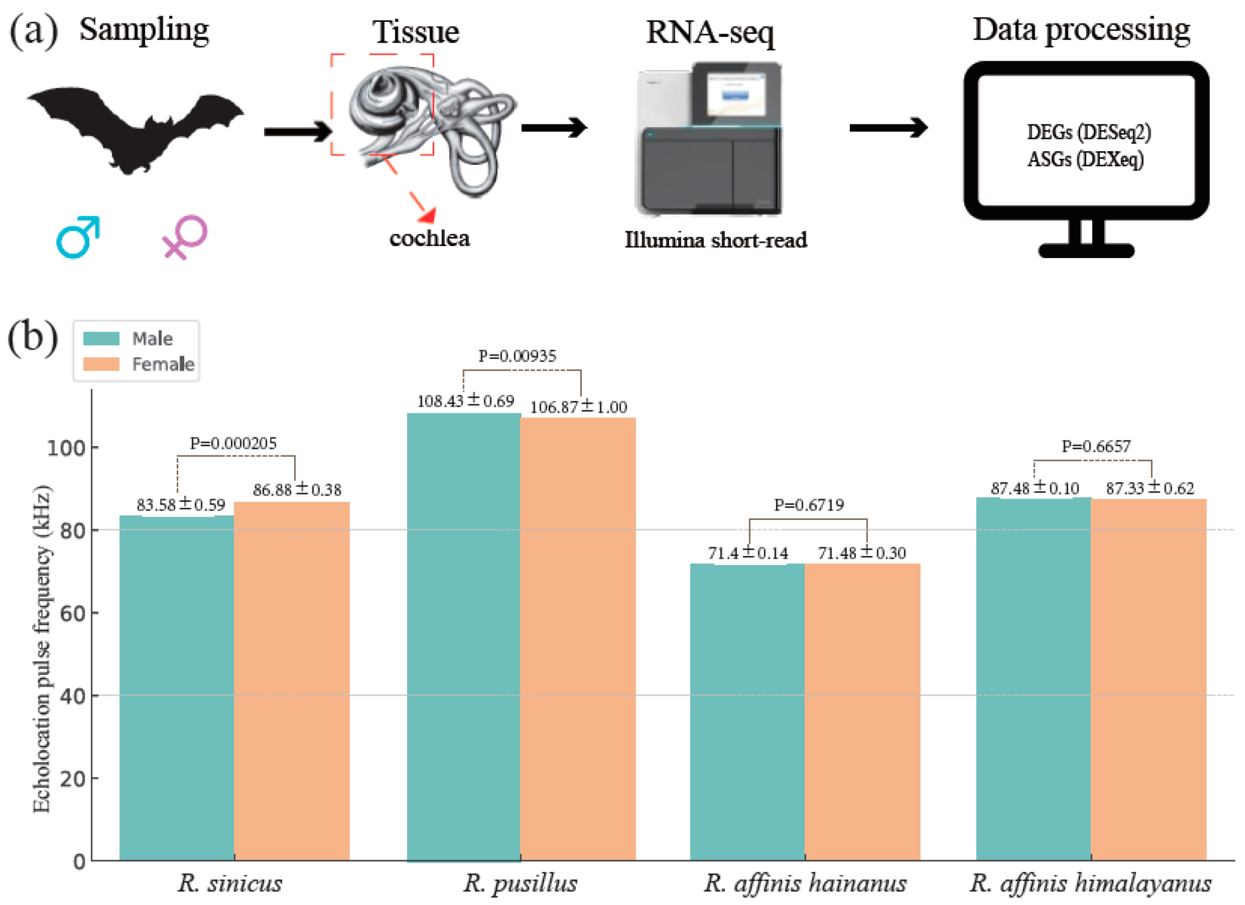 Animals 14 01177 g001 Animals 14 01177 g001