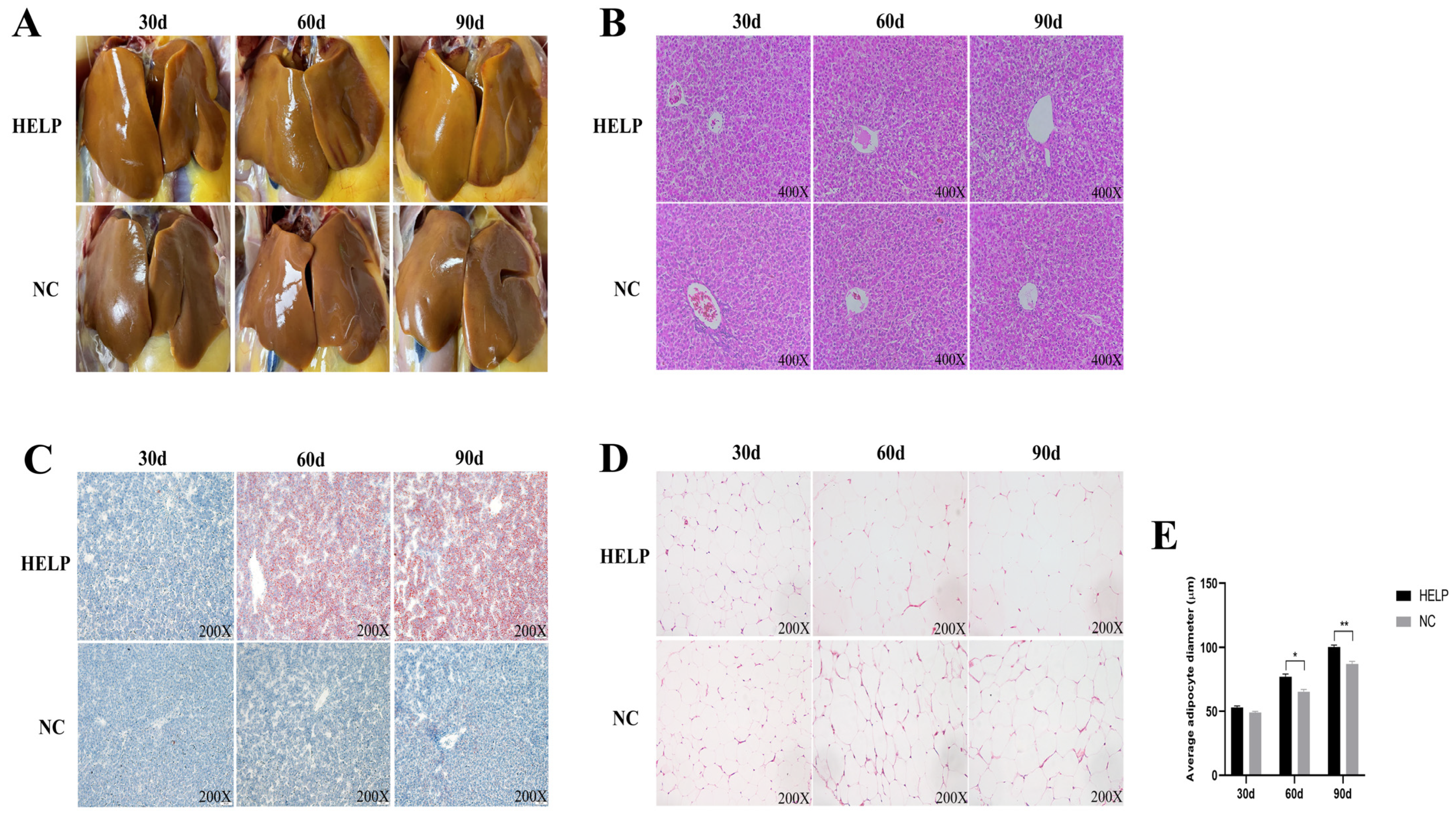 Animals 14 01199 g002