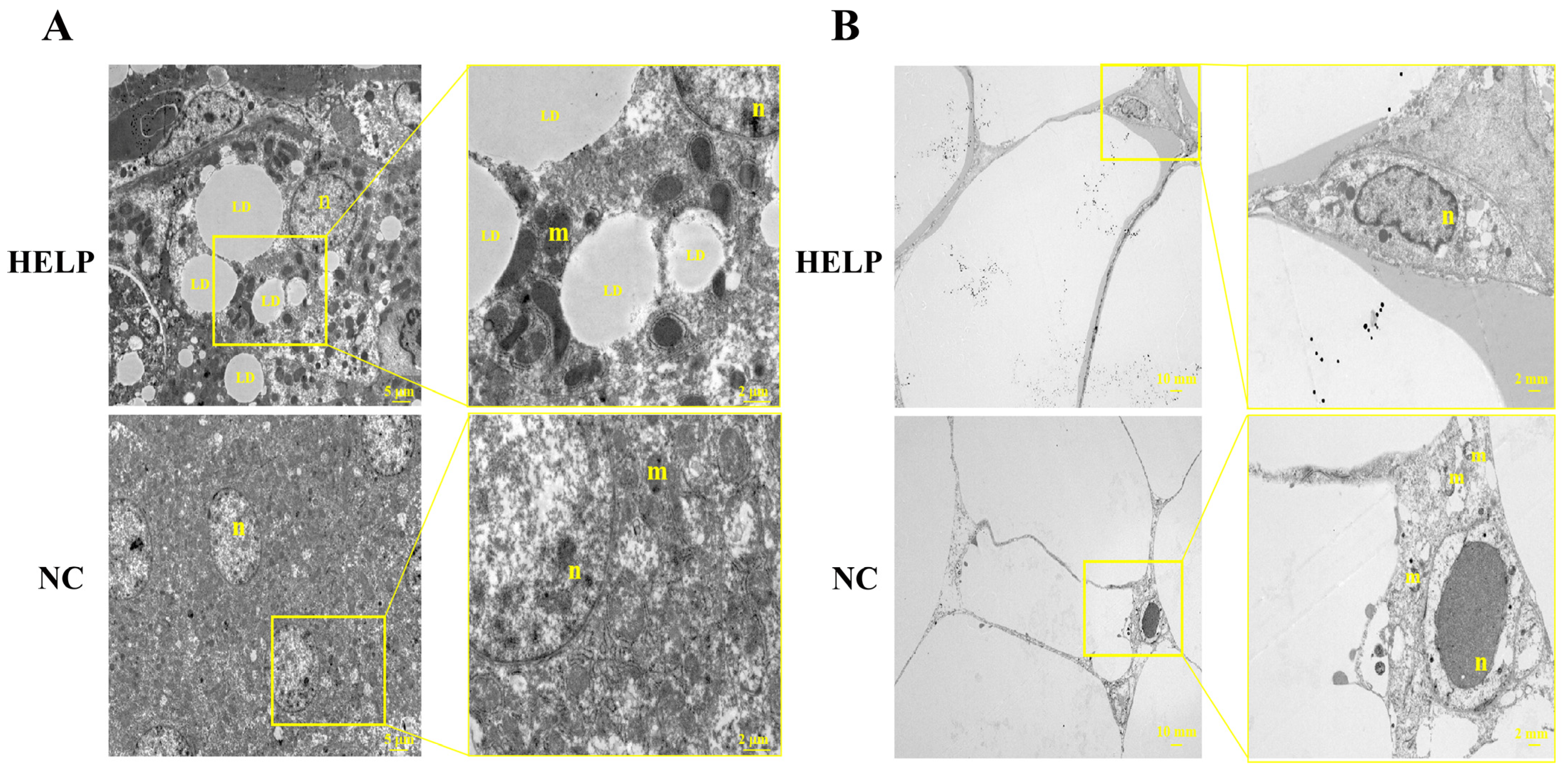 Animals 14 01199 g003