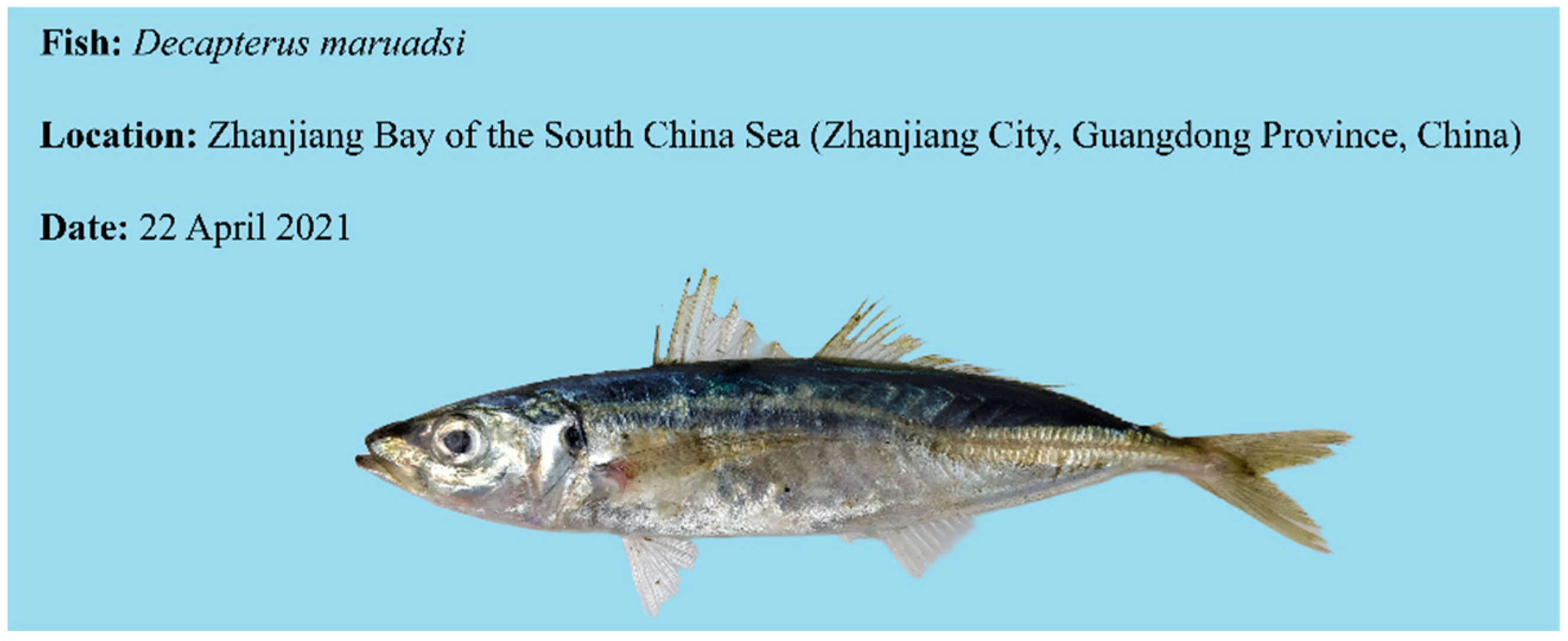 Animals 14 01202 g001