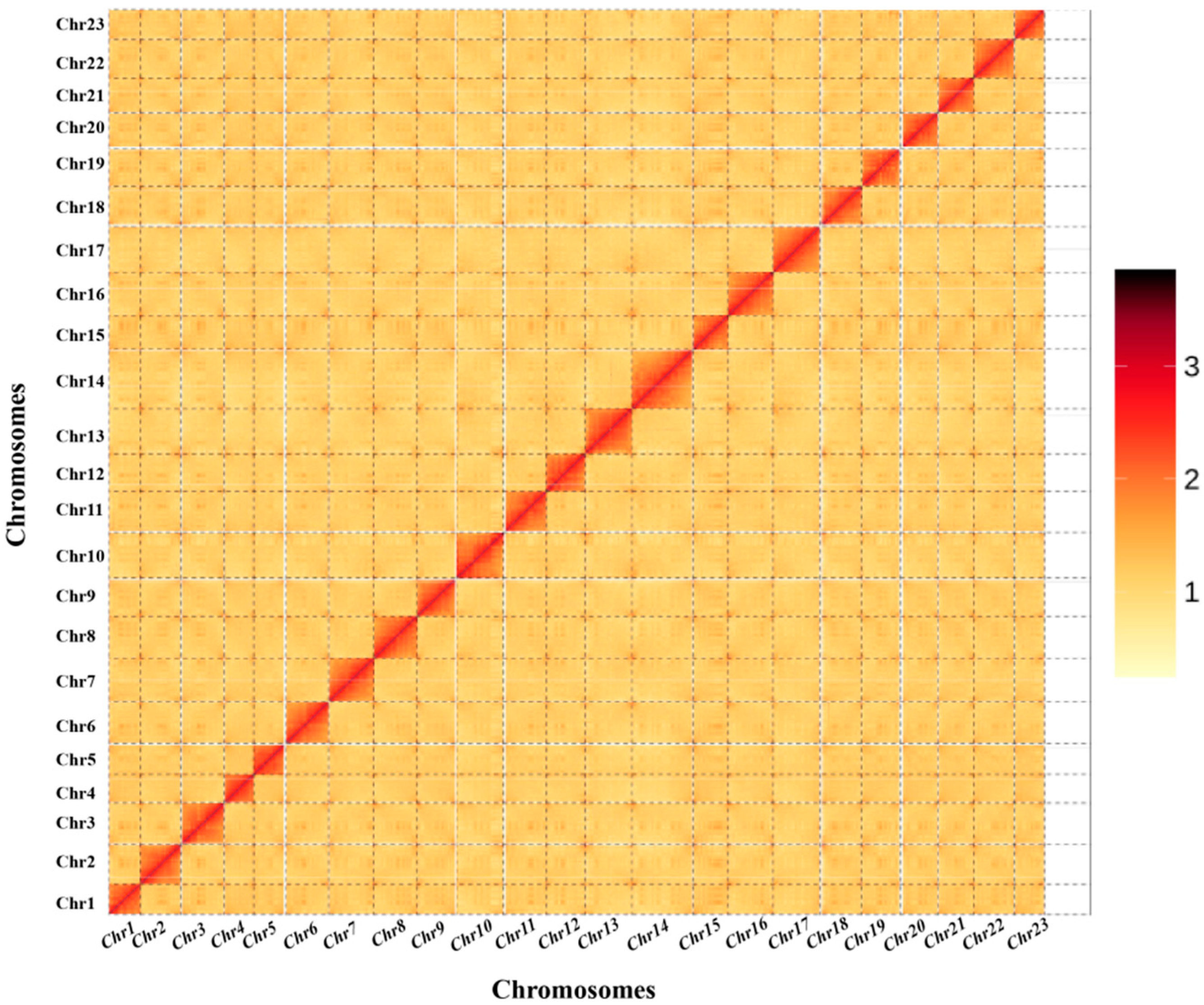 Animals 14 01202 g002