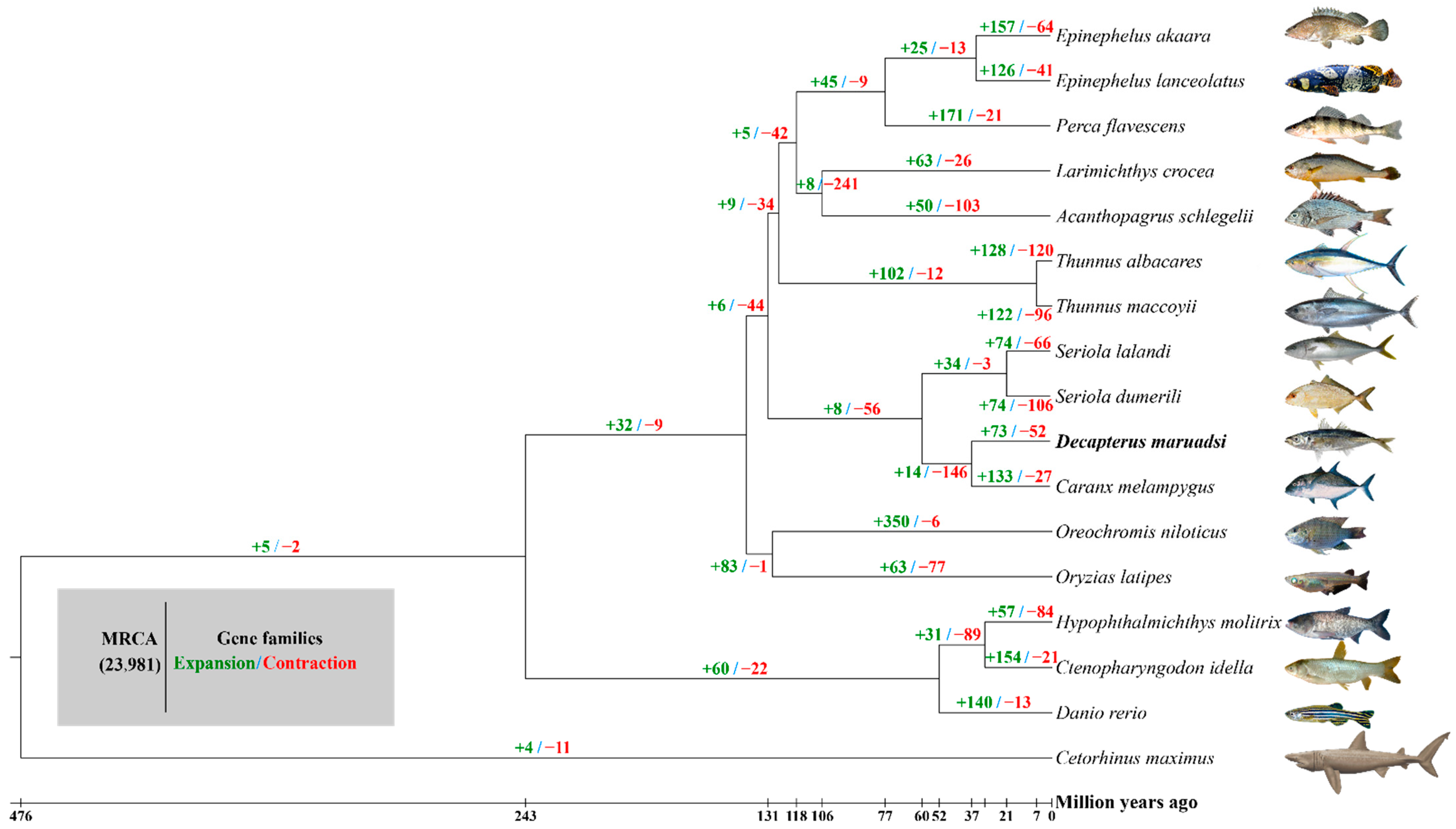 Animals 14 01202 g006