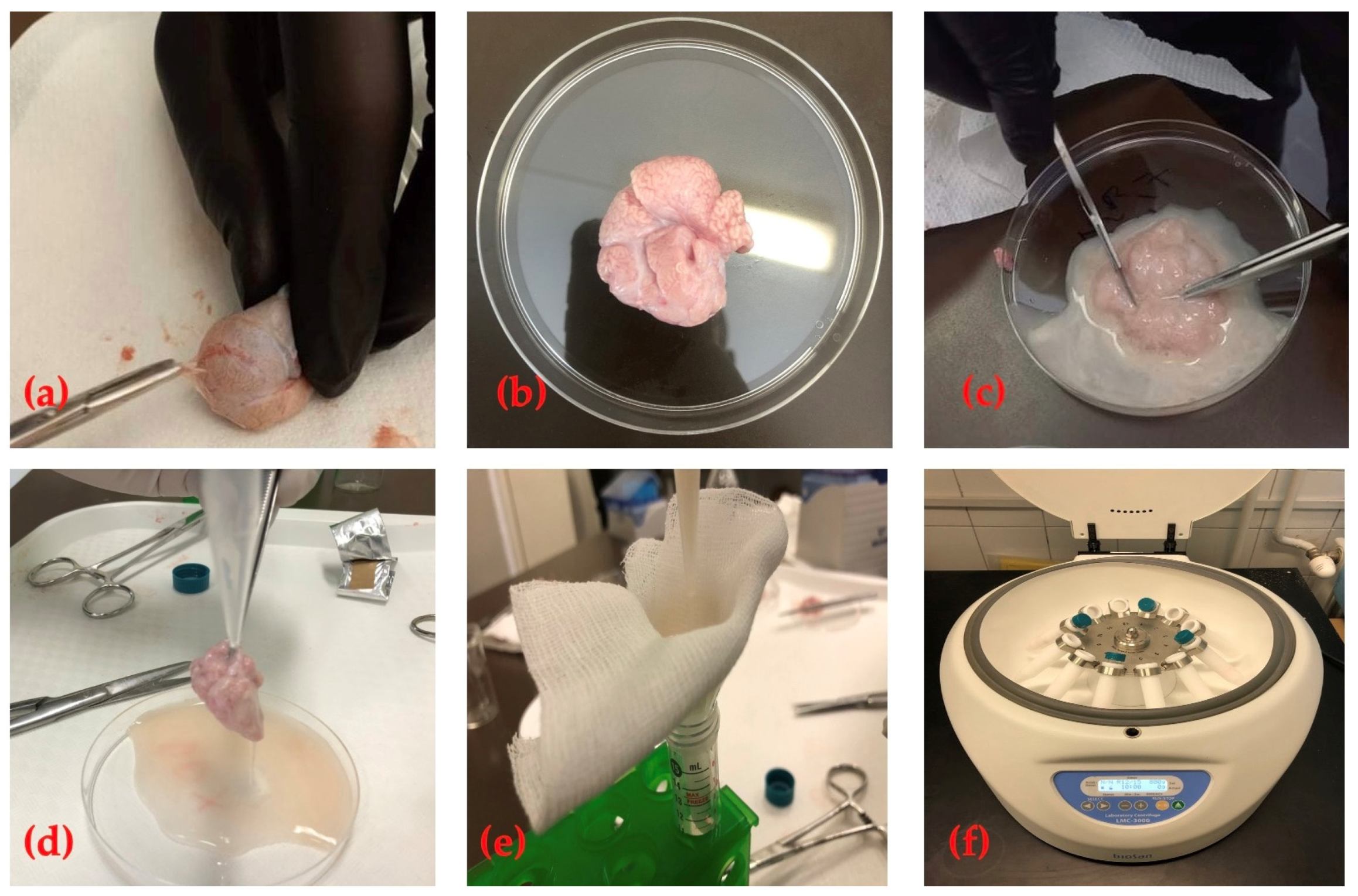 Animals 14 01237 g001 Animals 14 01237 g001