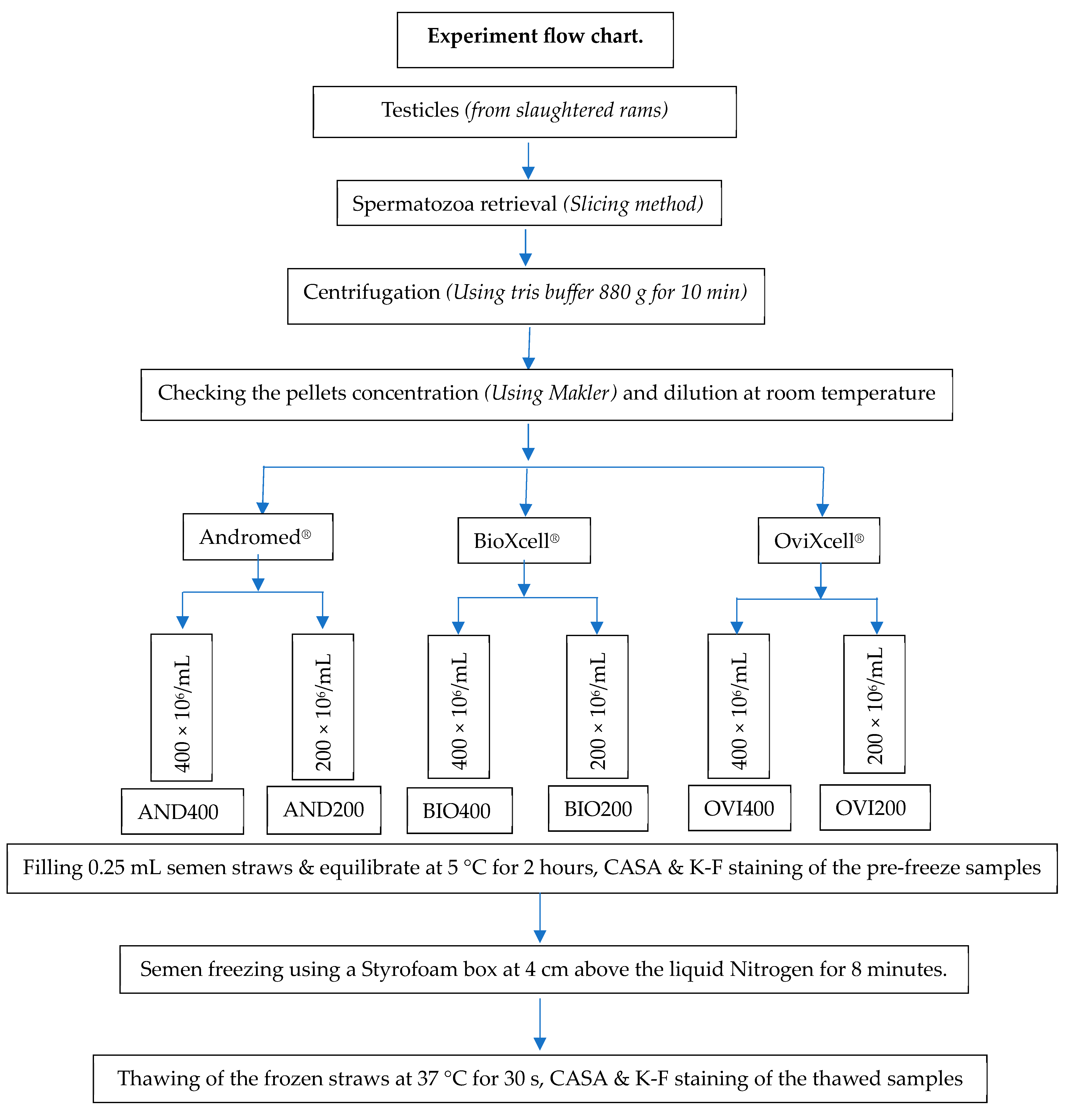 Animals 14 01237 g002 Animals 14 01237 g002