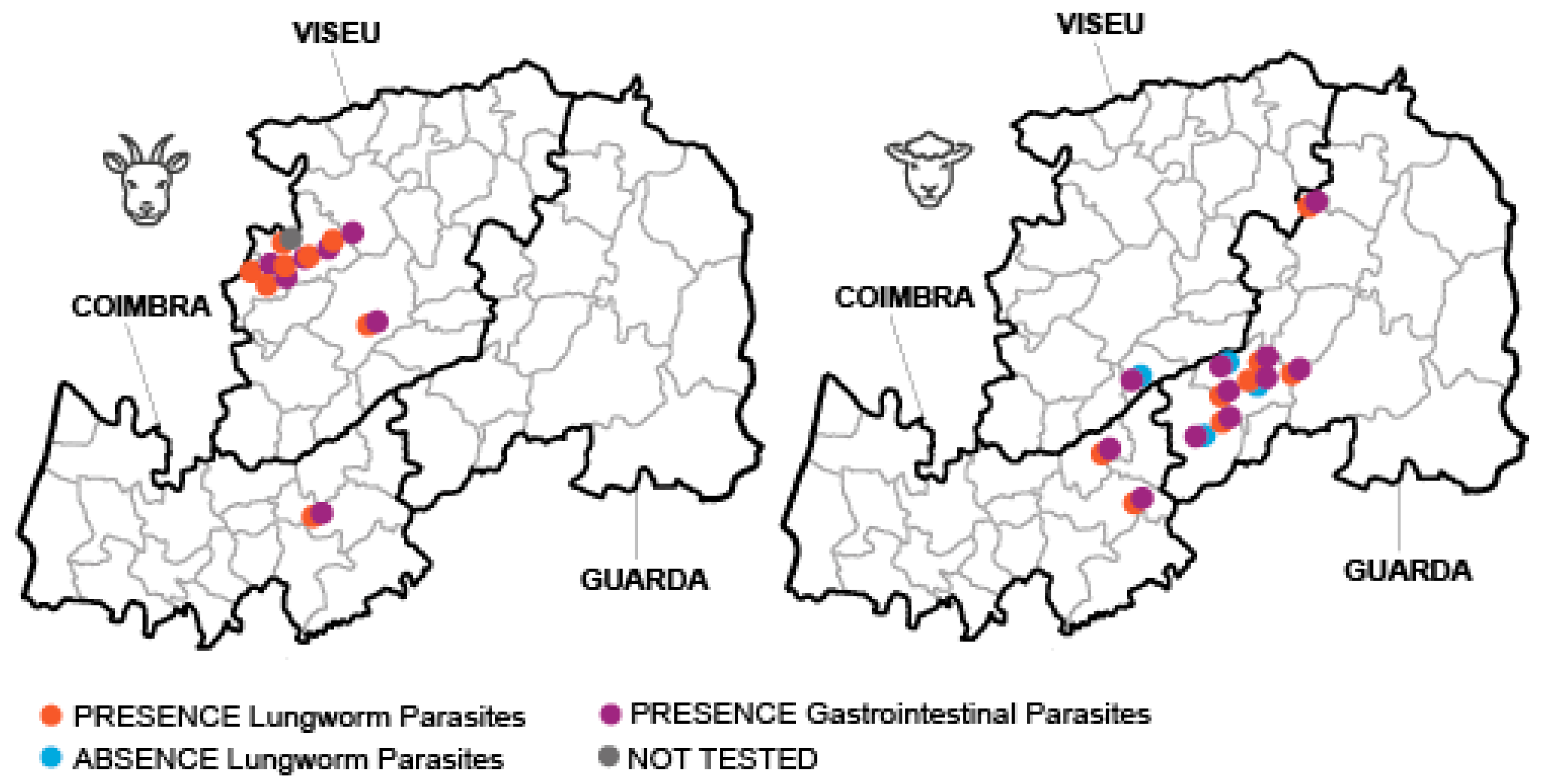 Animals 14 01241 g003