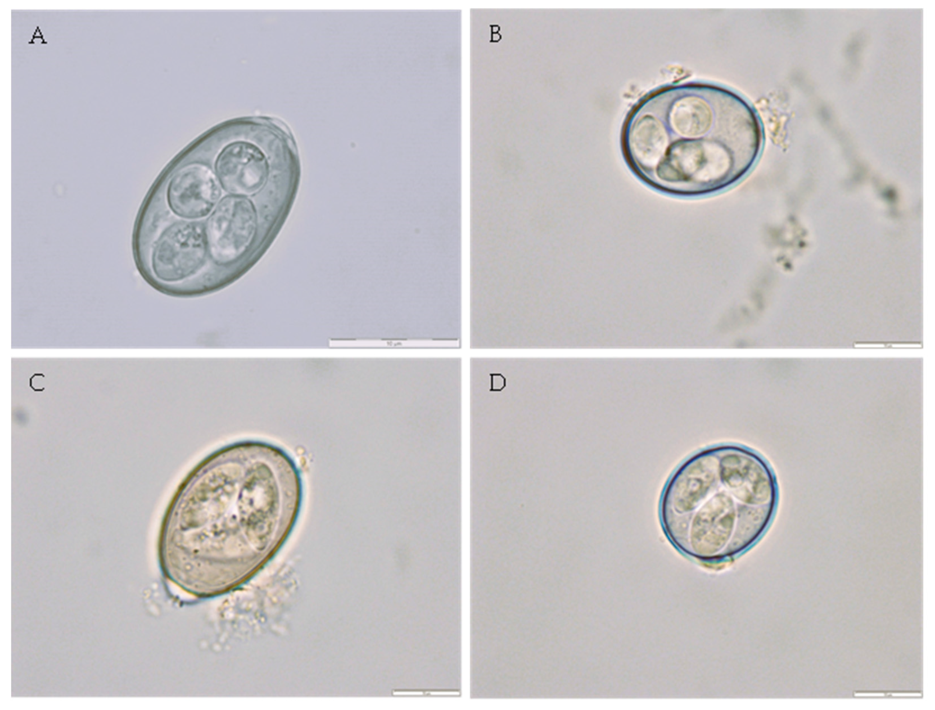 Animals 14 01241 g007