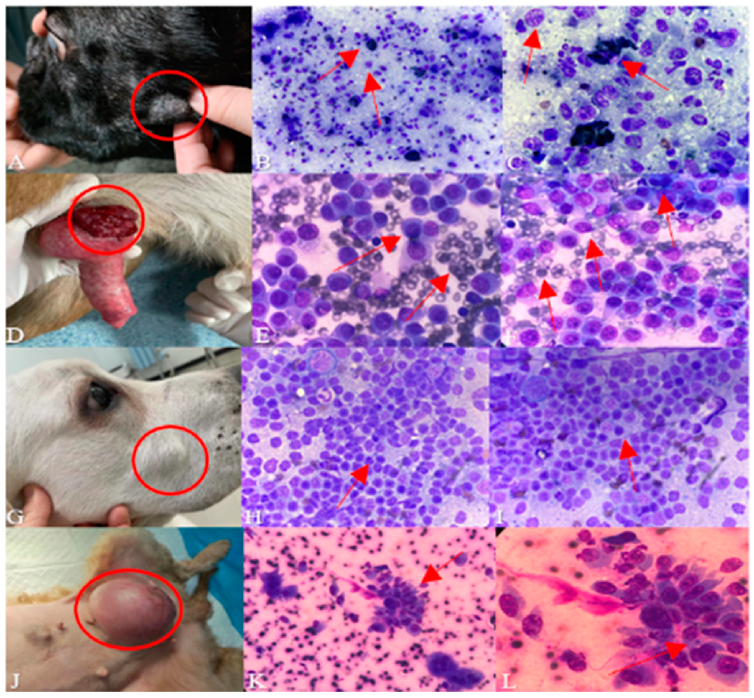 Animals 14 01272 g003