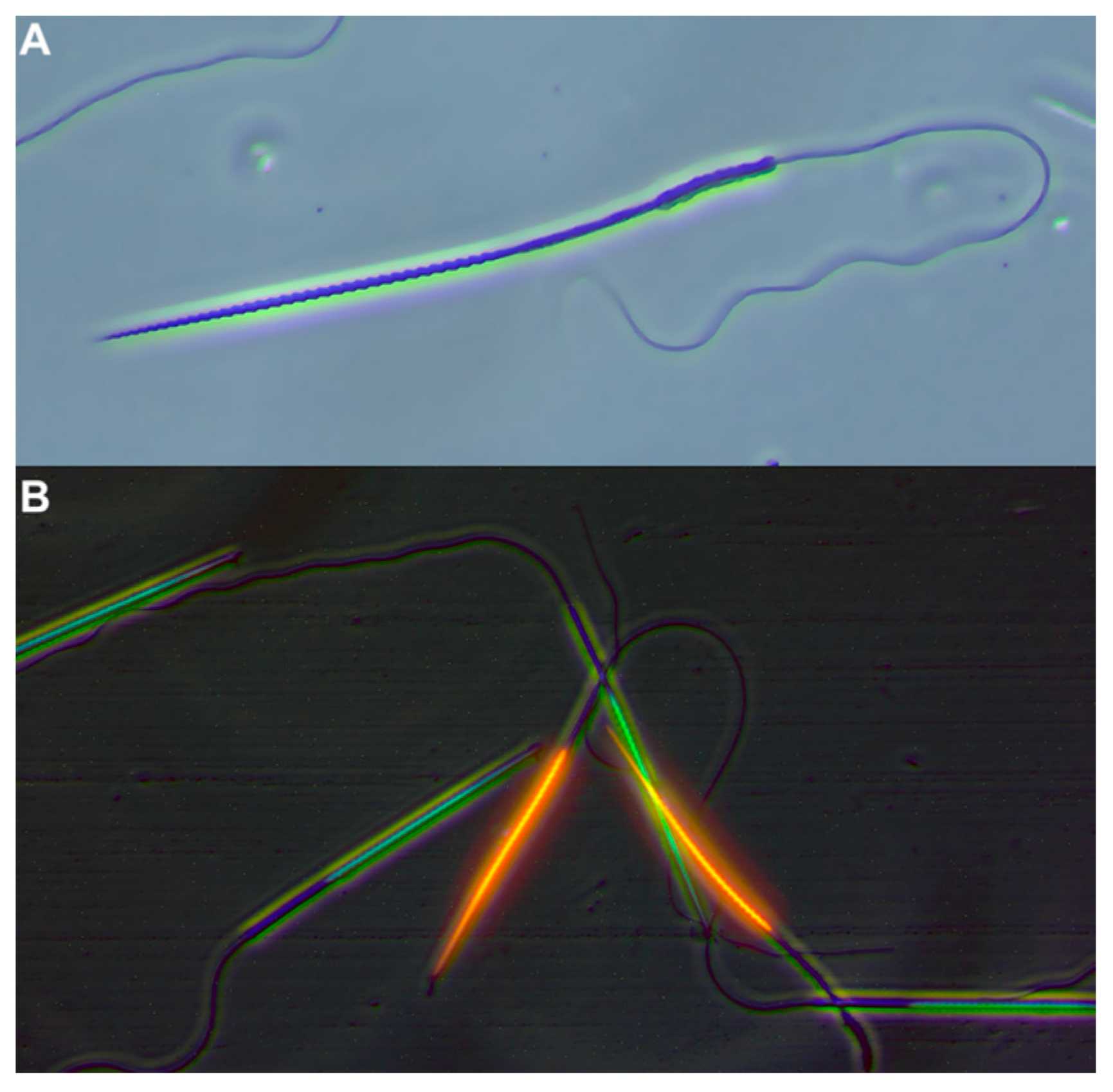 Animals 14 01281 g001