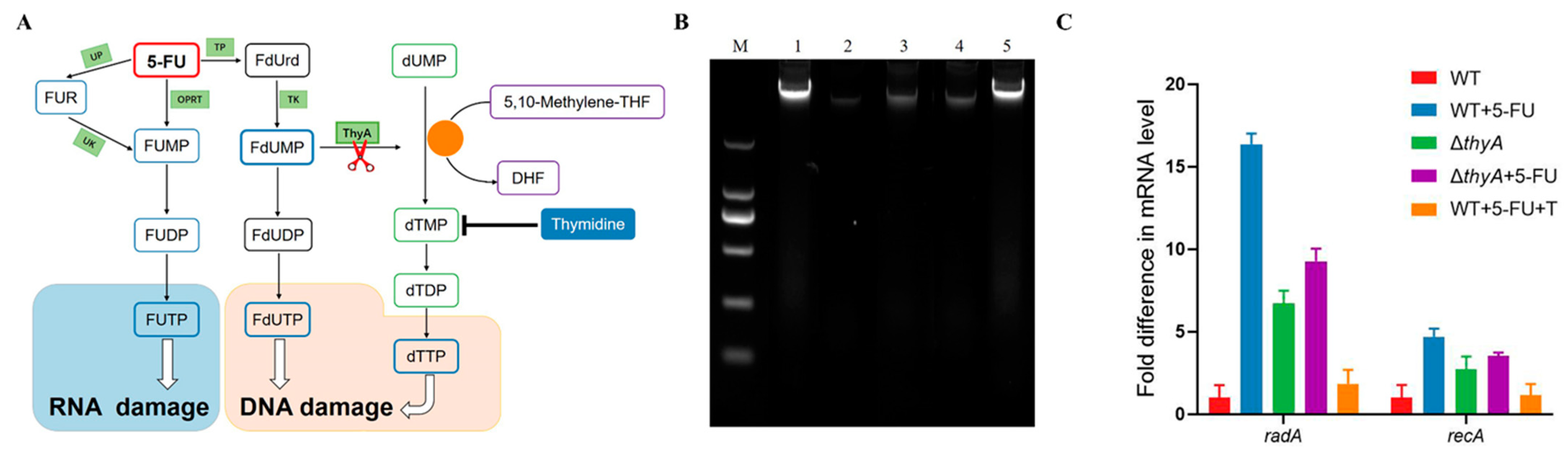 Animals 14 01286 g003