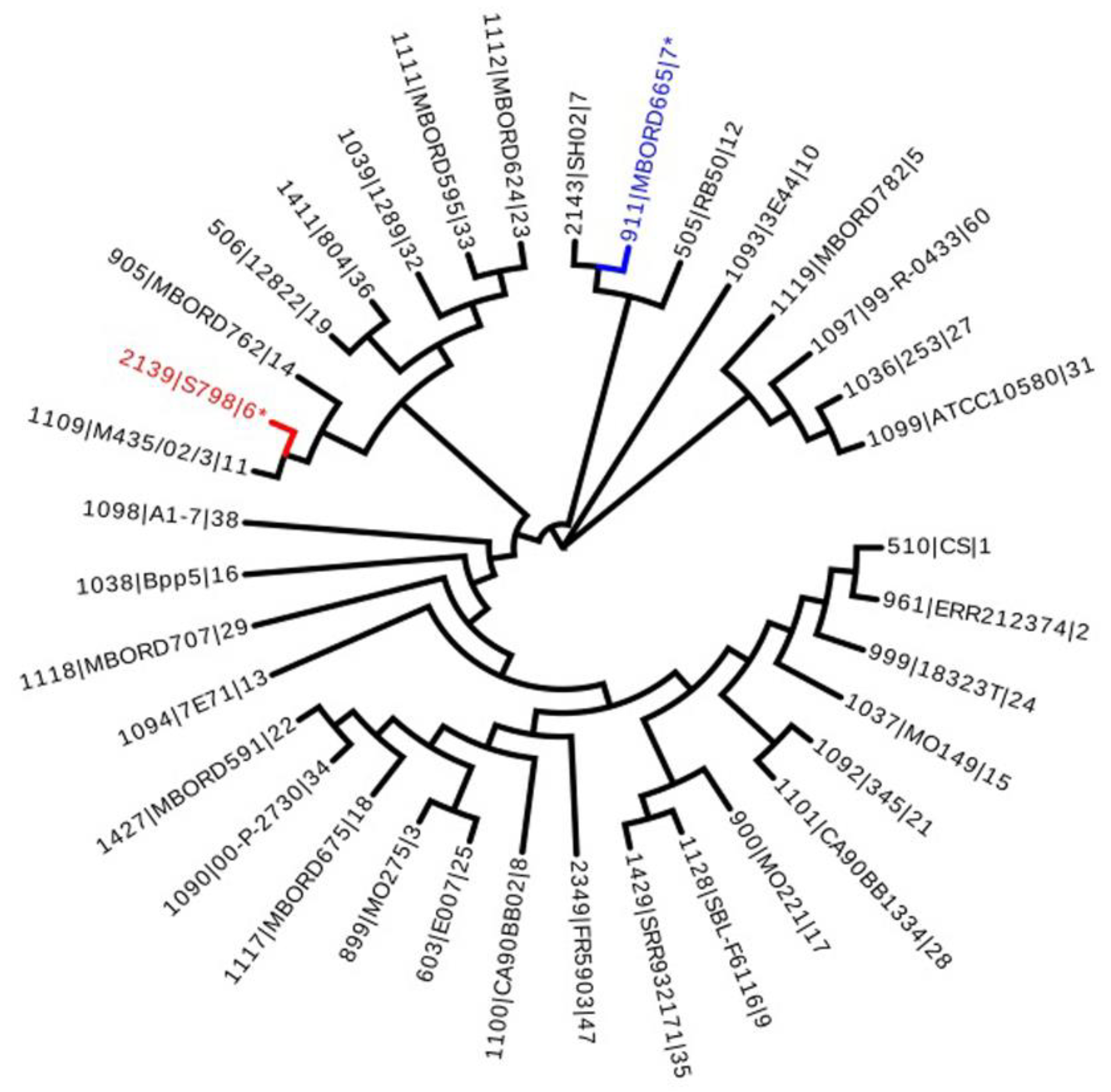 Animals 14 01301 g001