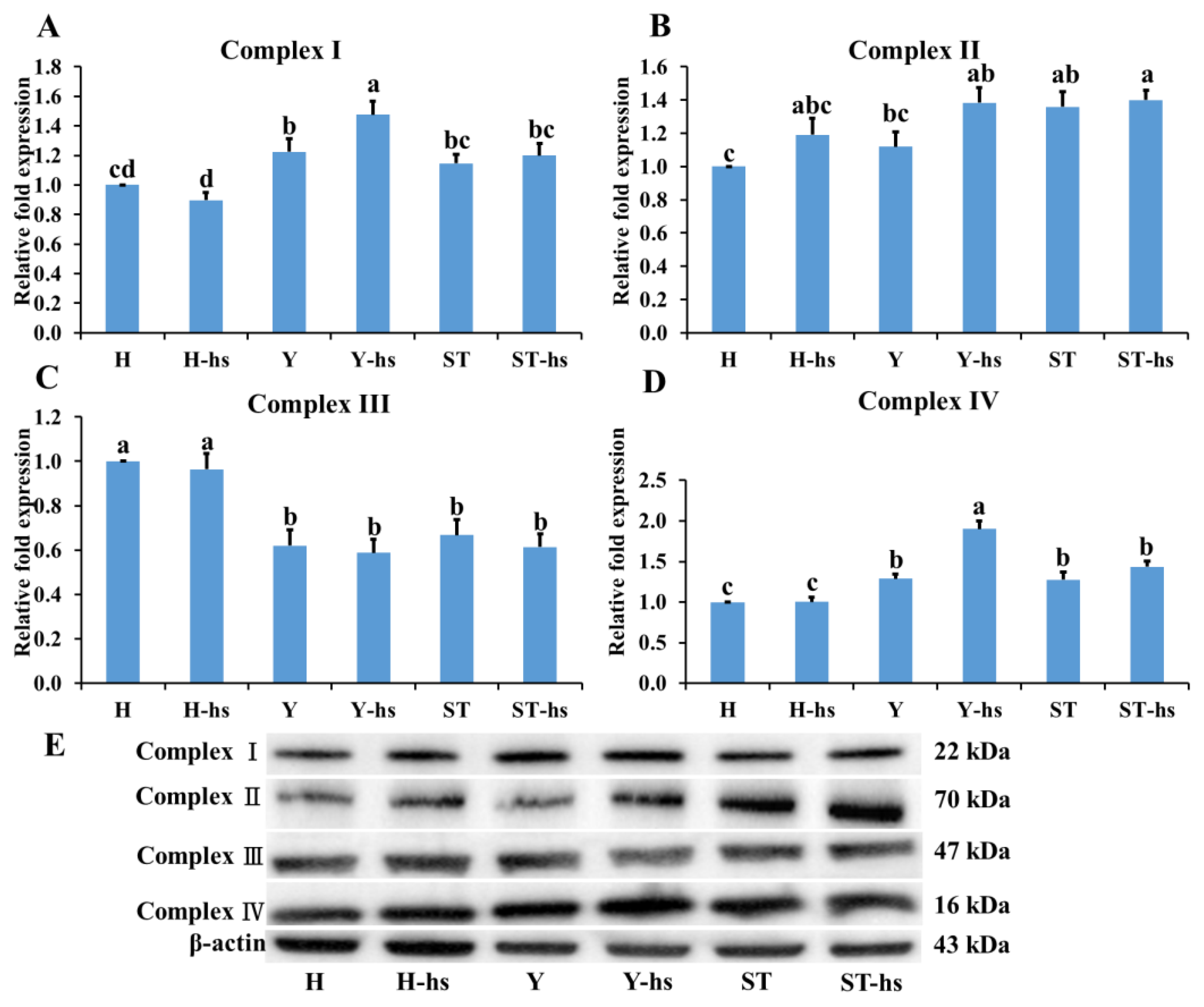 Animals 14 01371 g005