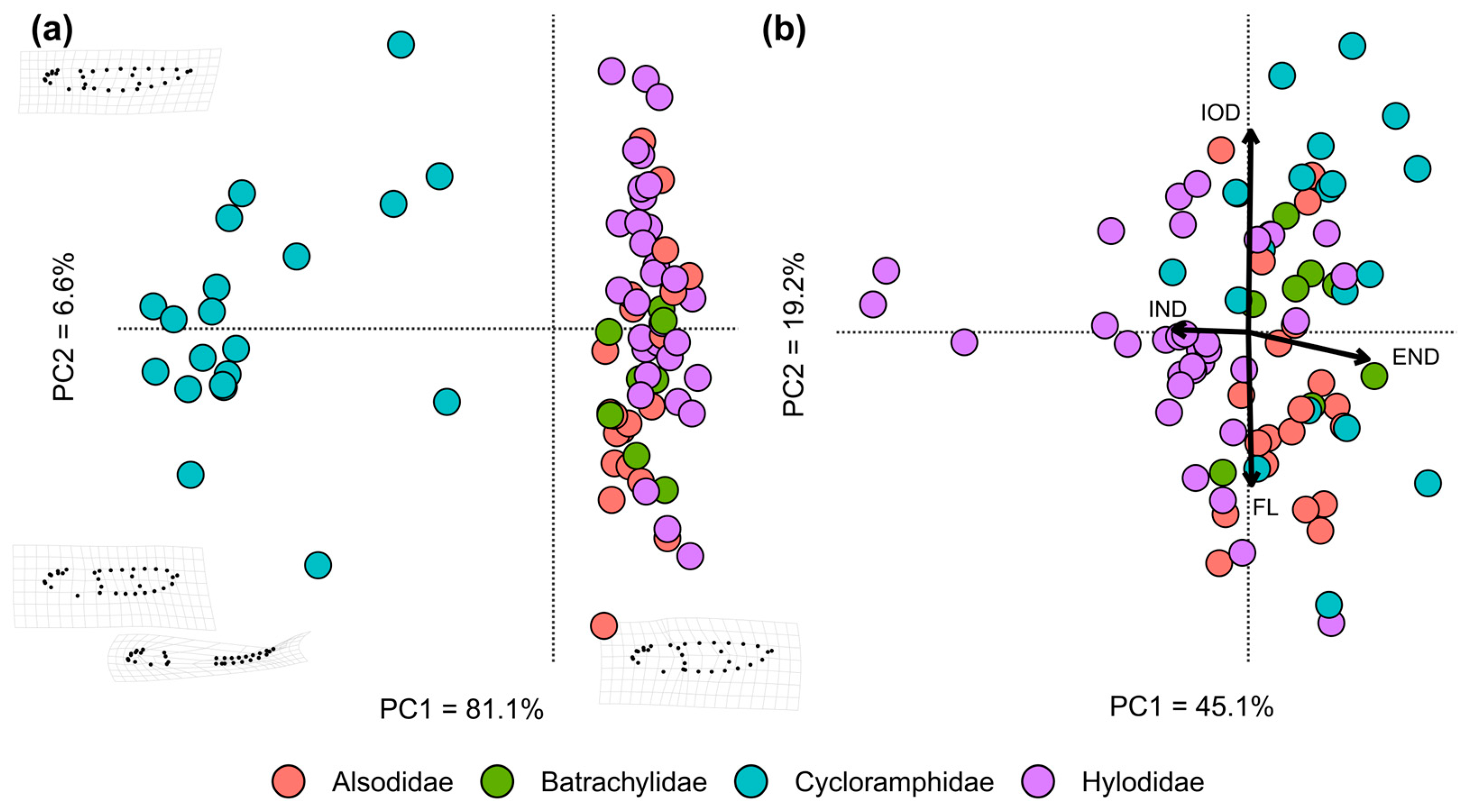 Animals 14 01406 g002