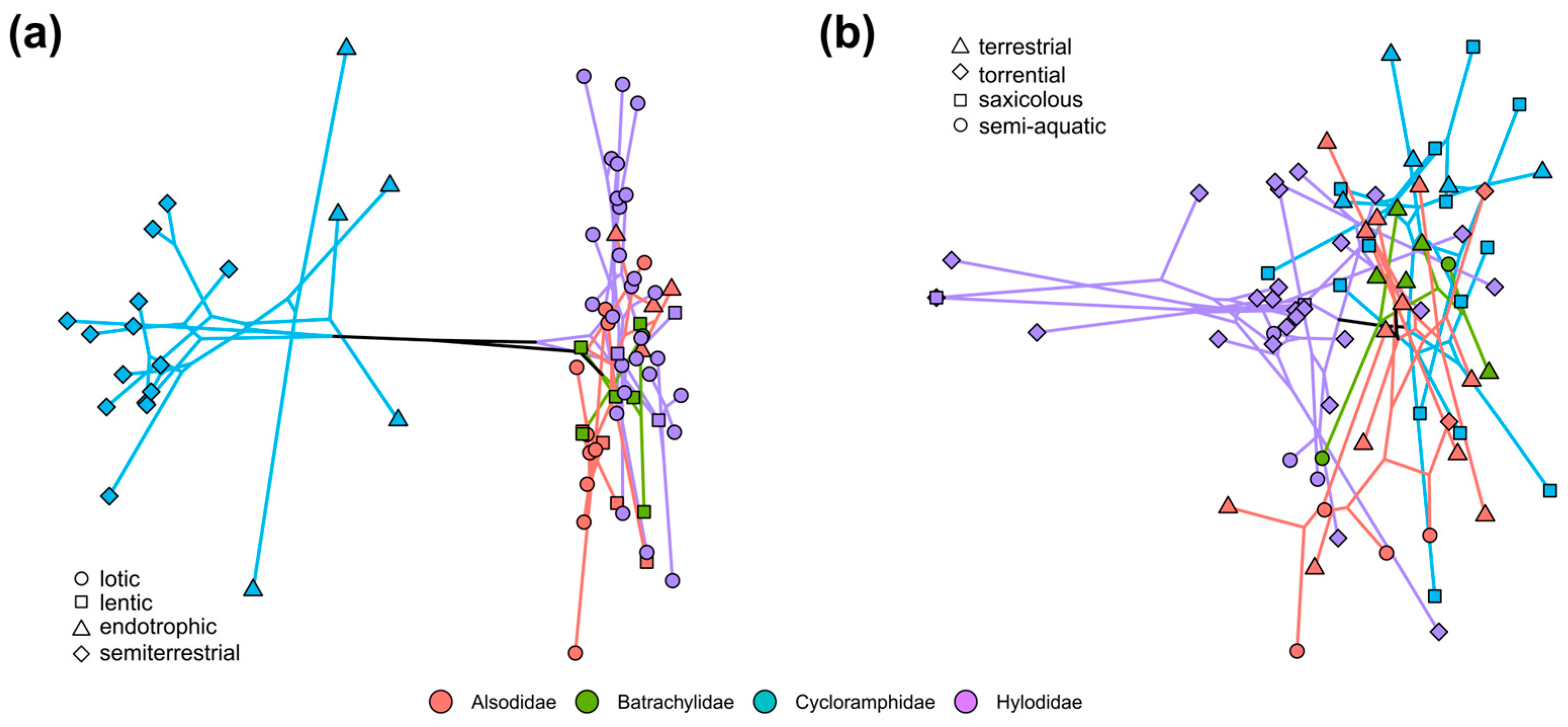 Animals 14 01406 g004