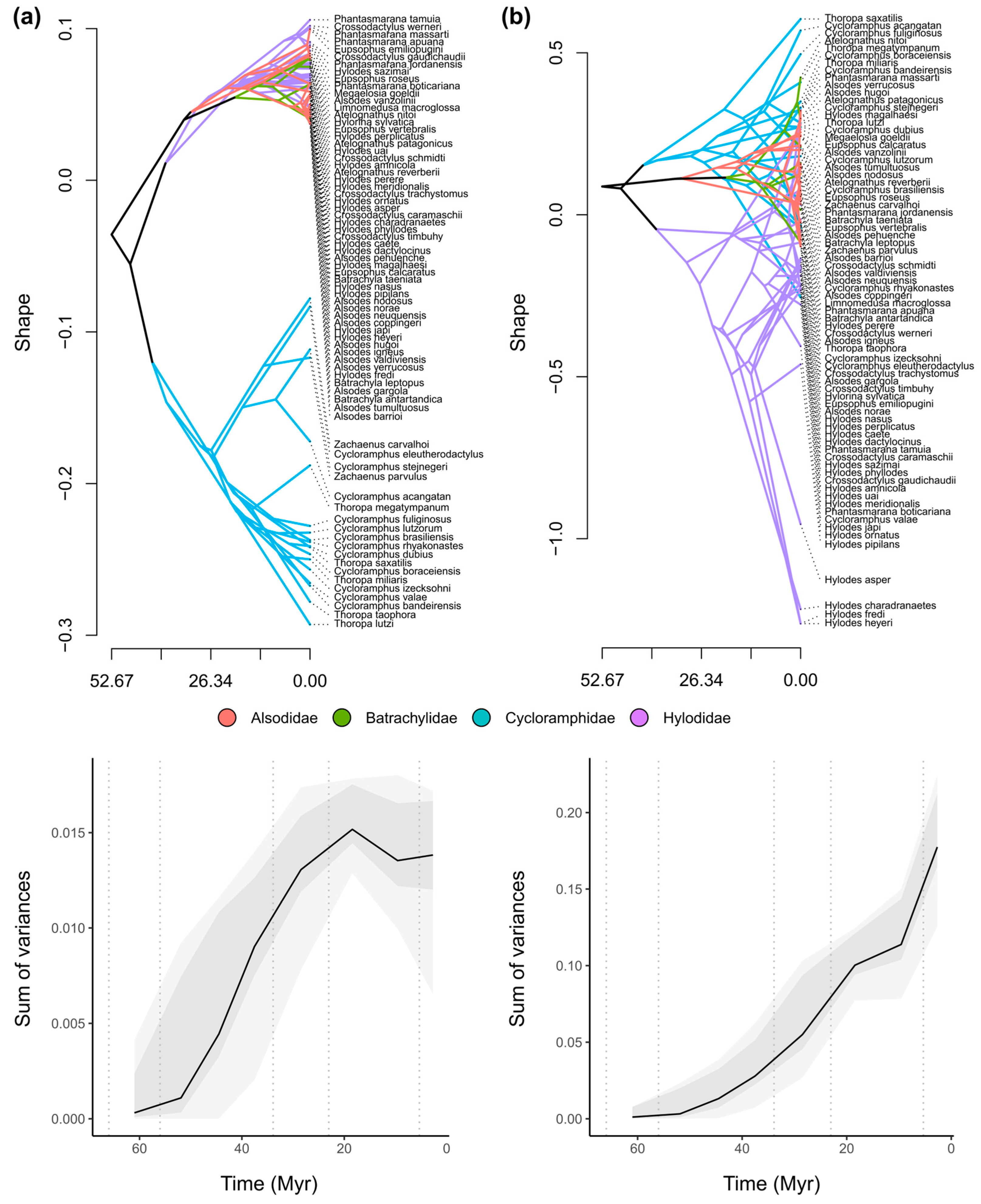 Animals 14 01406 g005