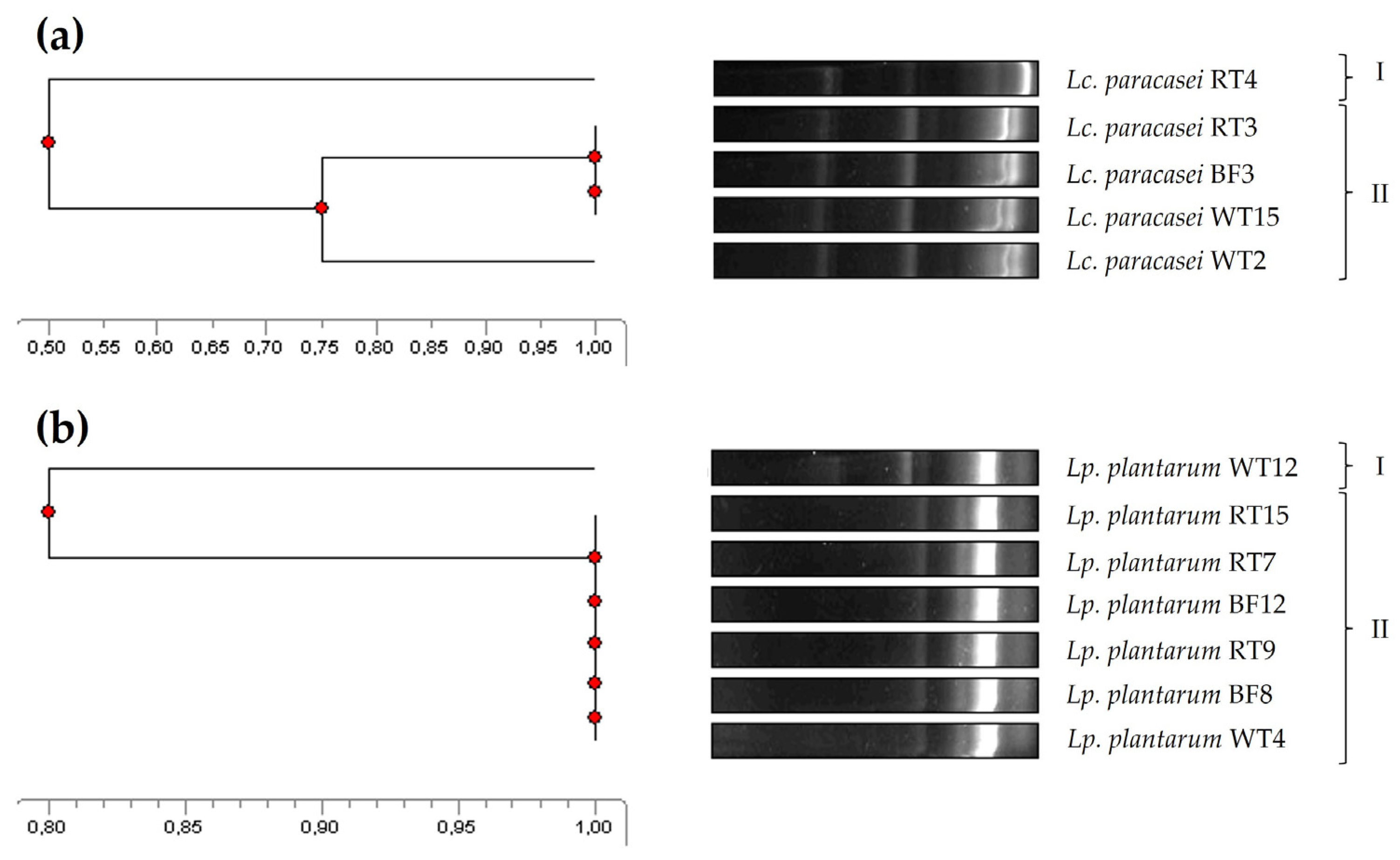 Animals 14 01415 g002