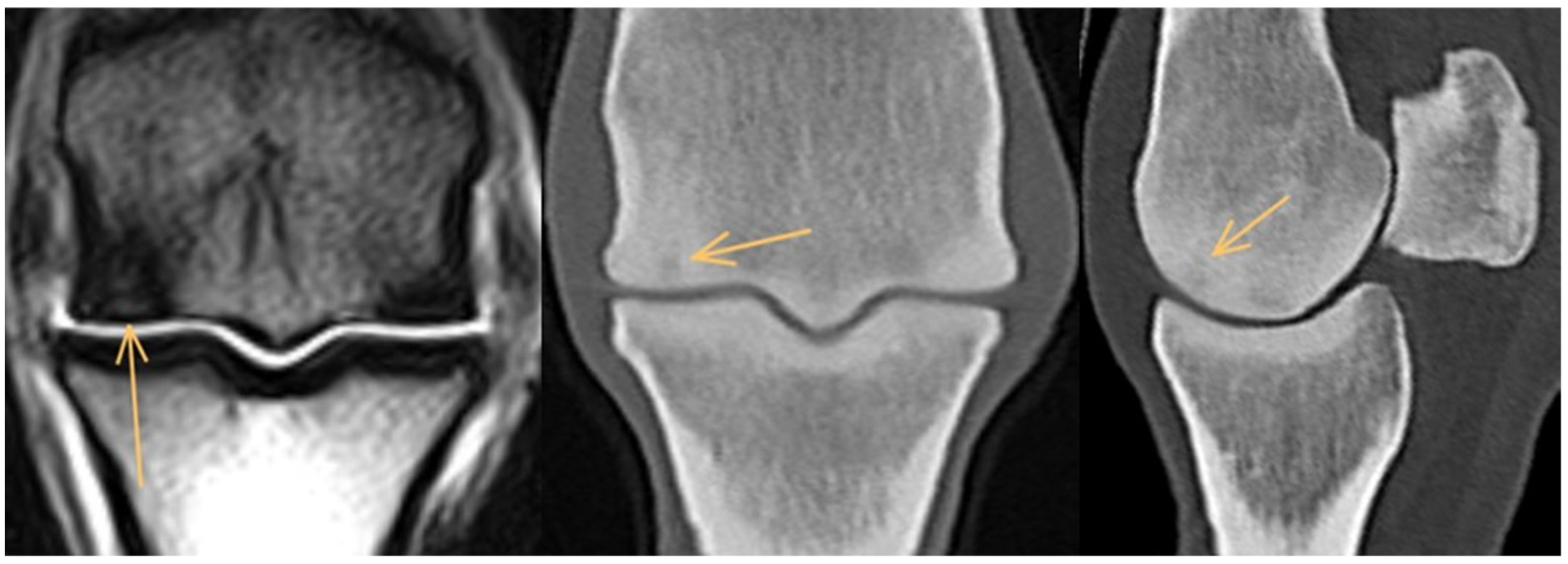 Animals 14 01417 g003