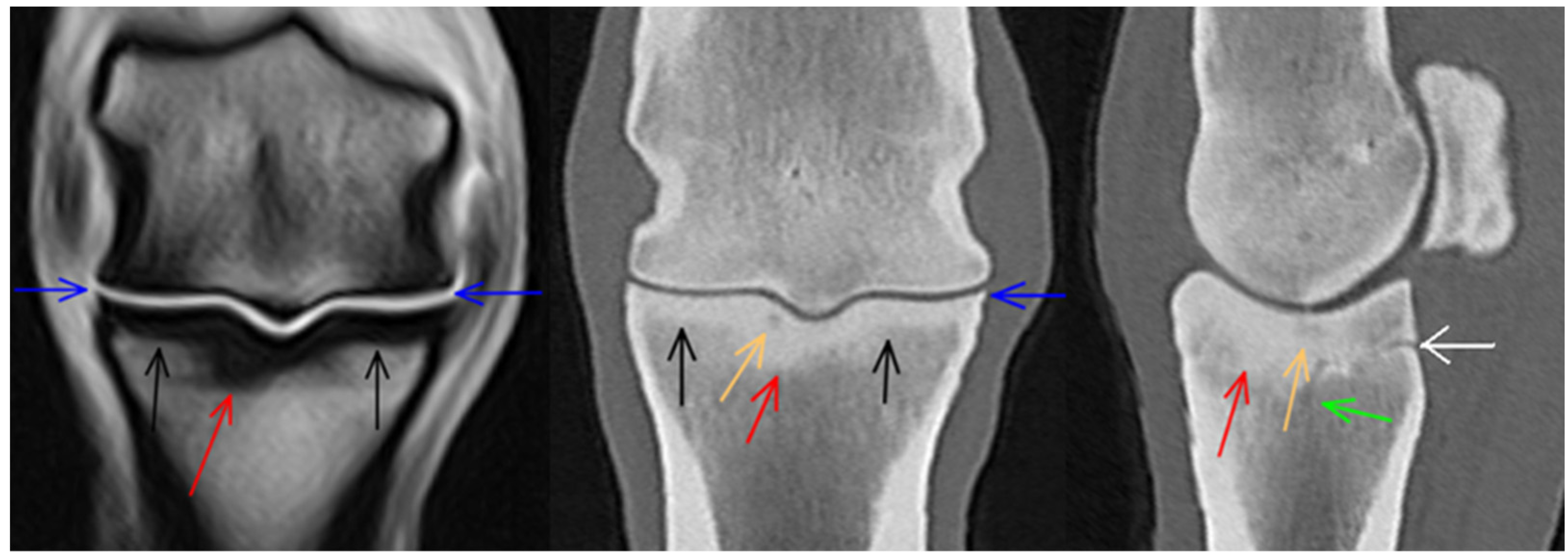 Animals 14 01417 g007