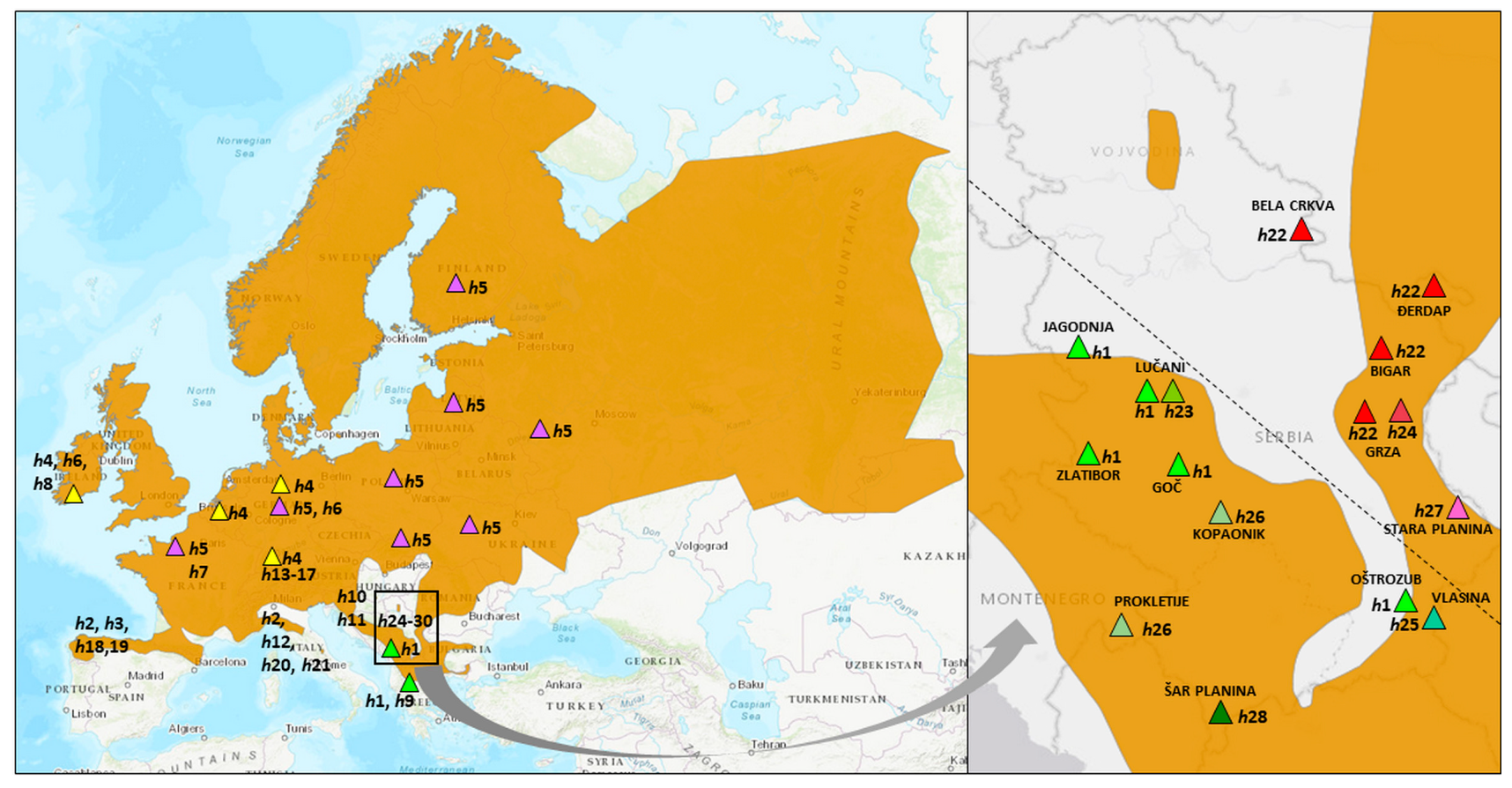 Animals 14 01430 g002
