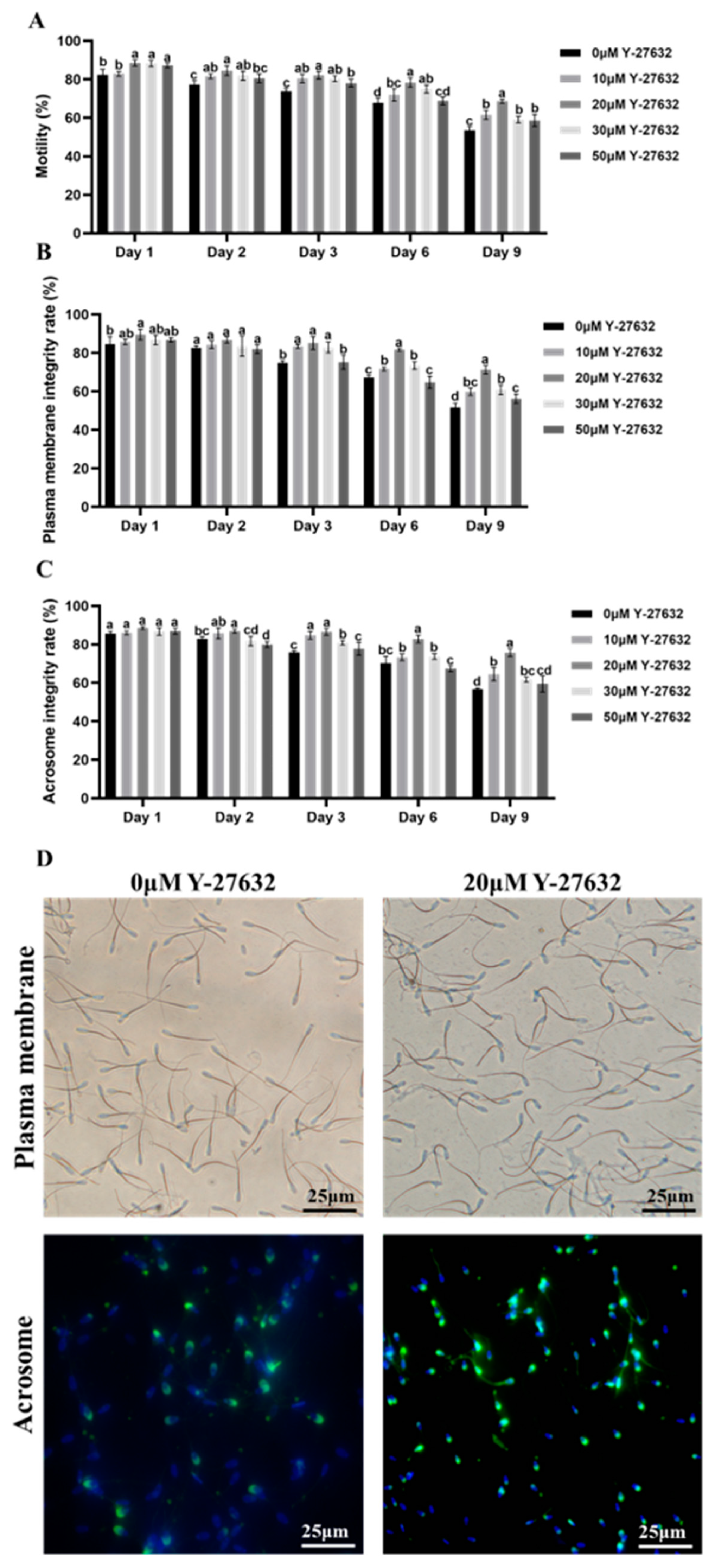 Animals 14 01441 g002