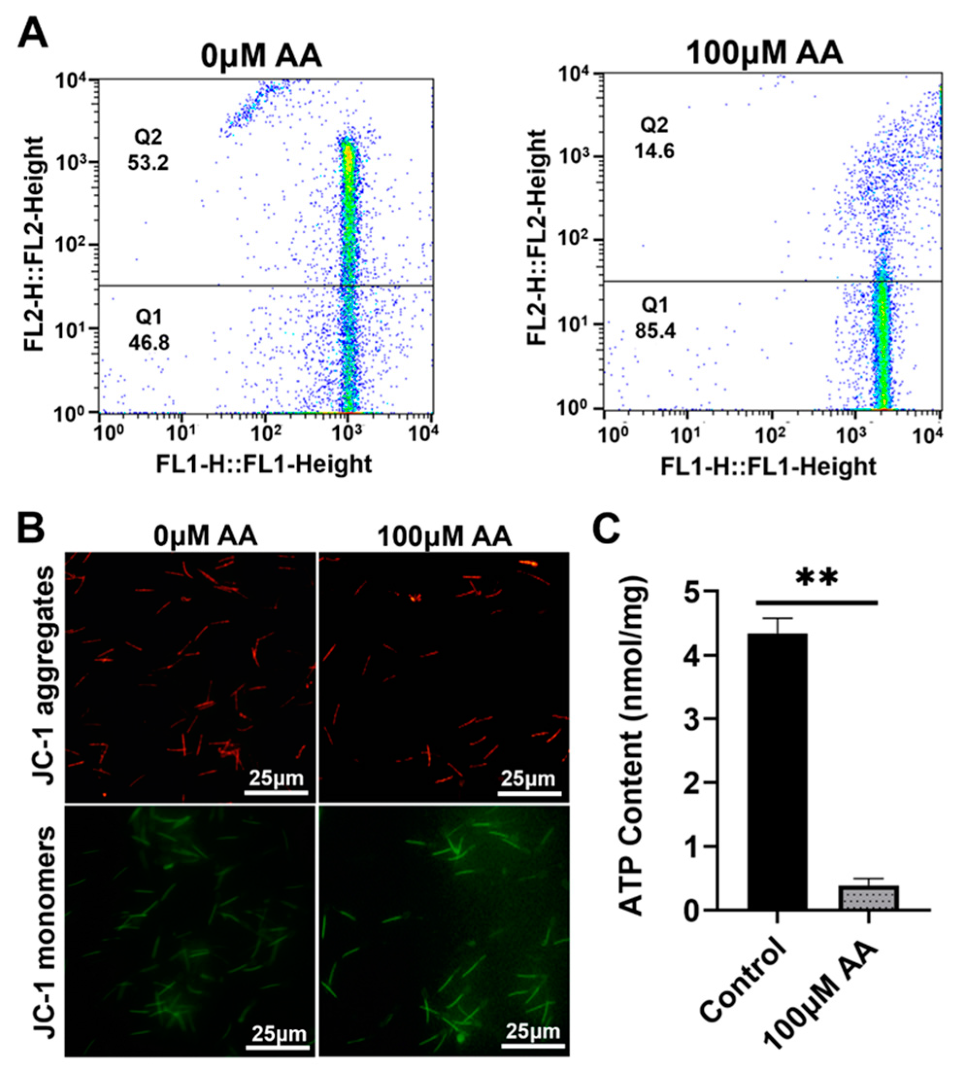 Animals 14 01441 g006