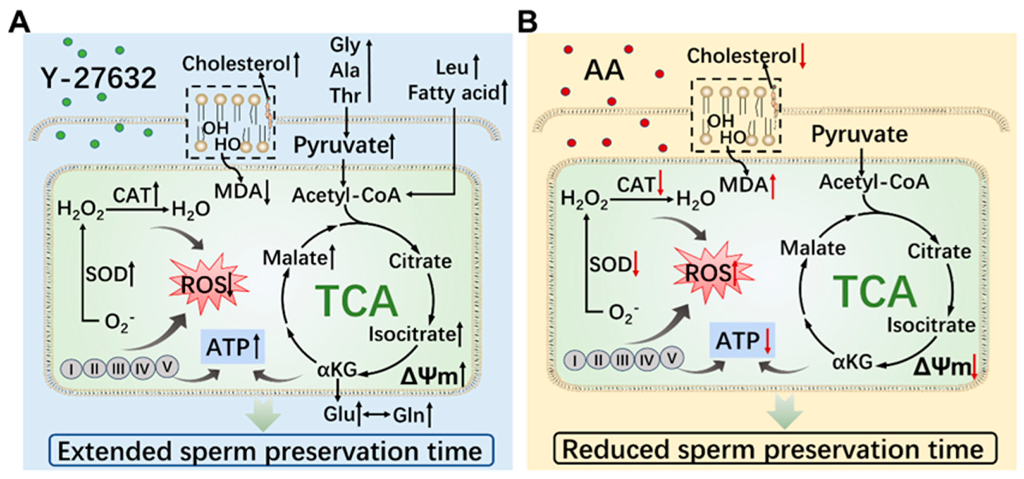 Animals 14 01441 g010