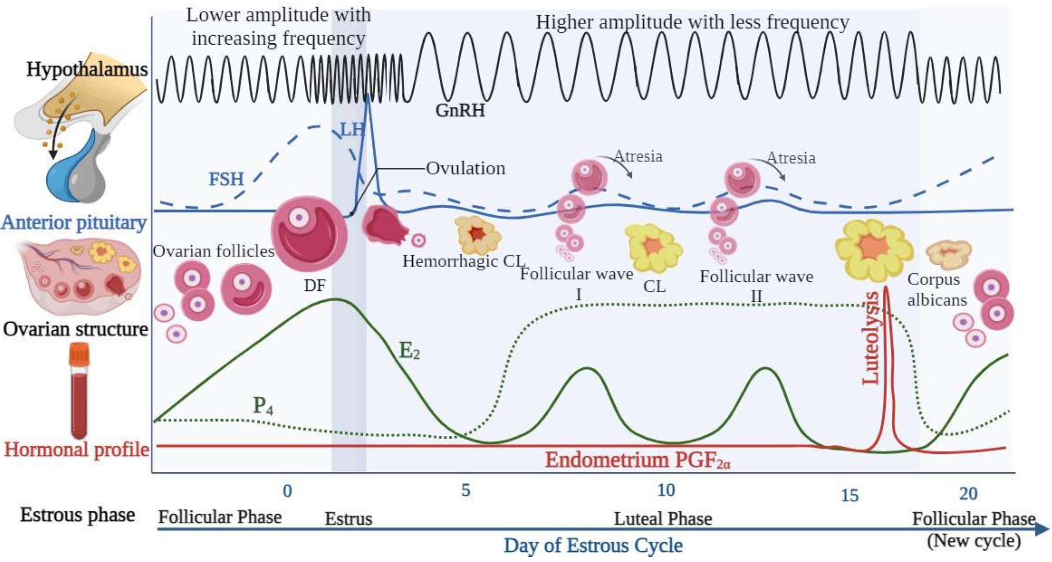 Animals 14 01473 g003 Animals 14 01473 g003