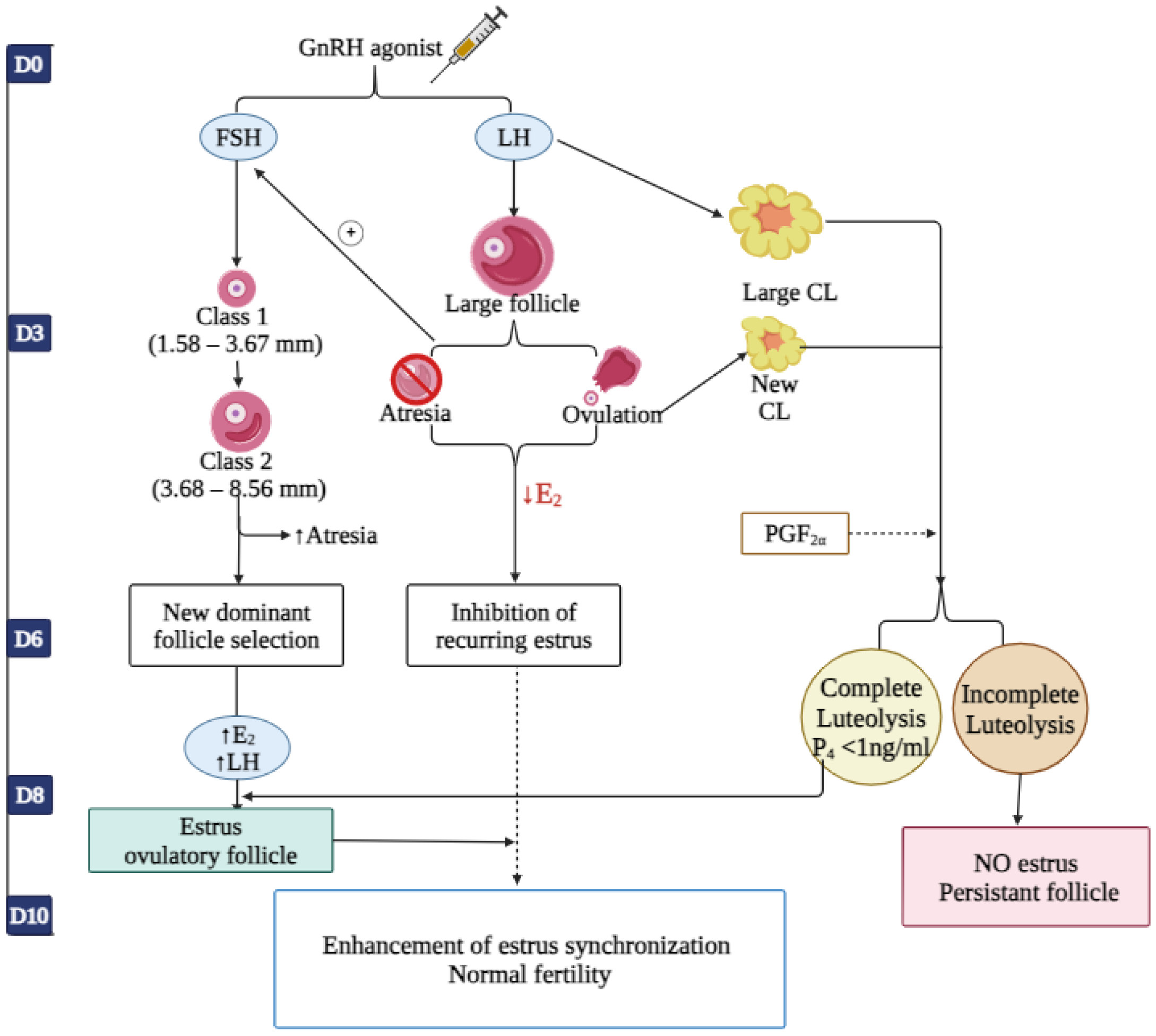 Animals 14 01473 g004 Animals 14 01473 g004