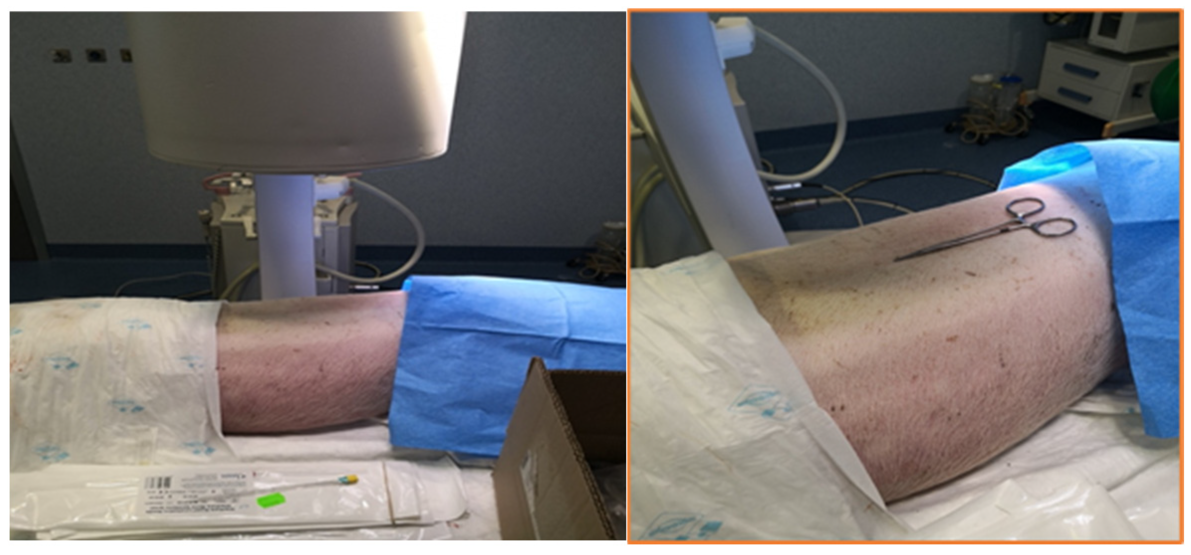 Animals 14 01478 g001