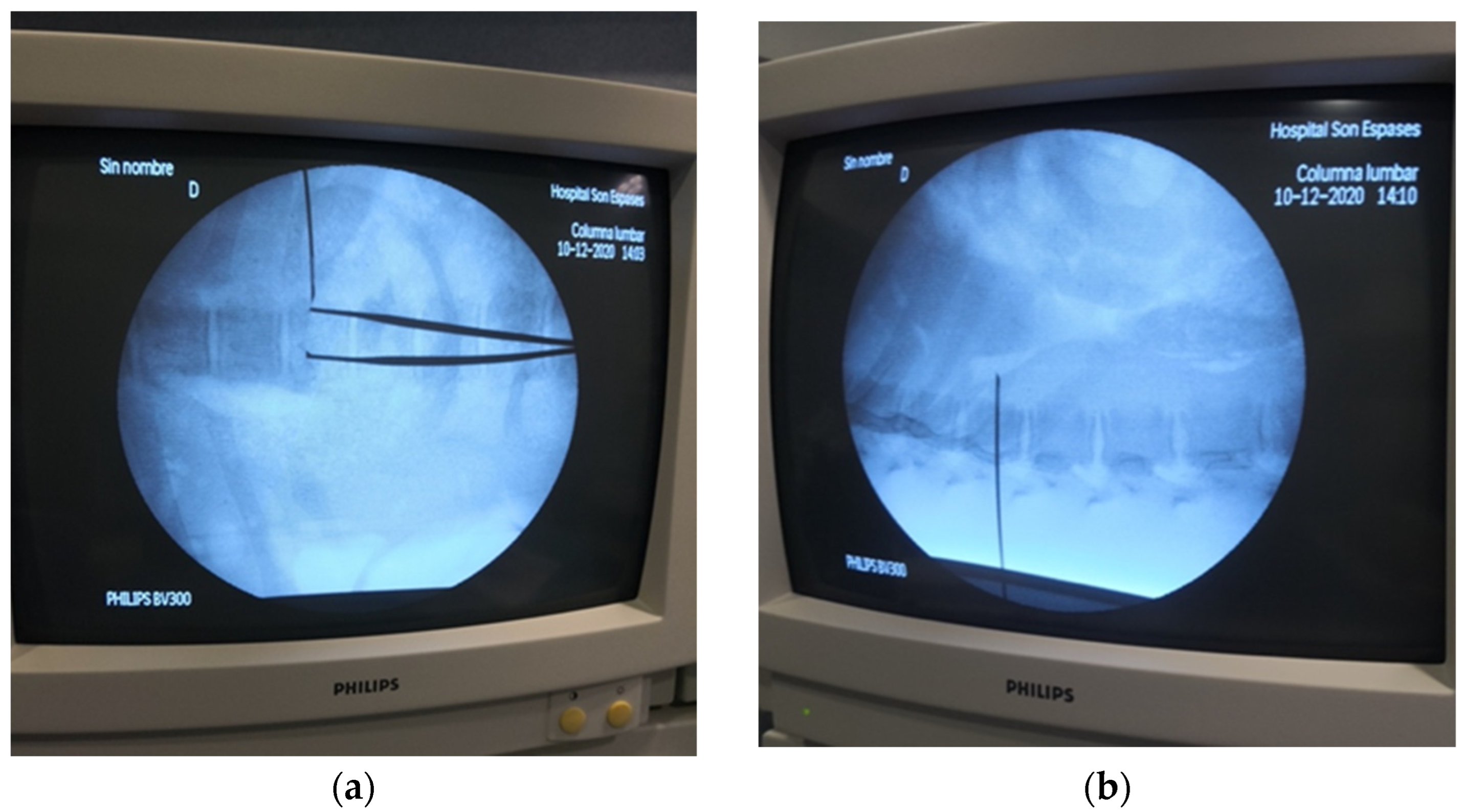 Animals 14 01478 g002