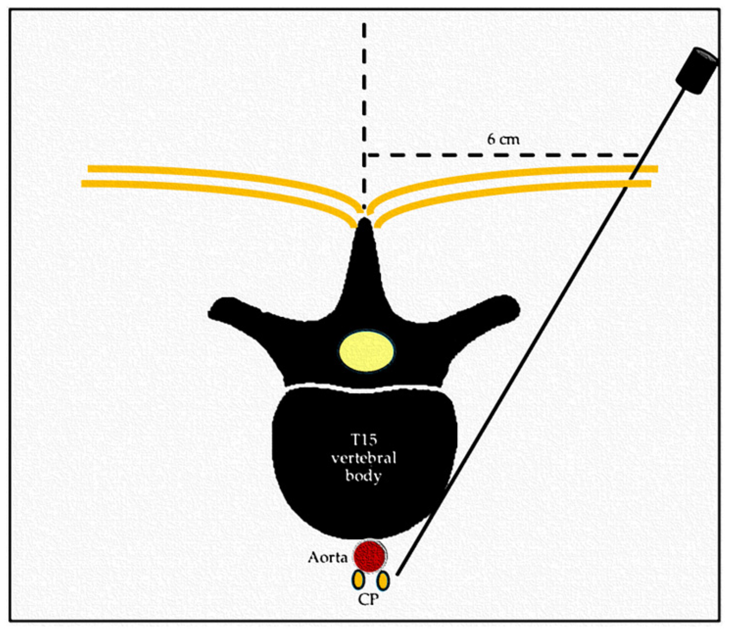 Animals 14 01478 g003