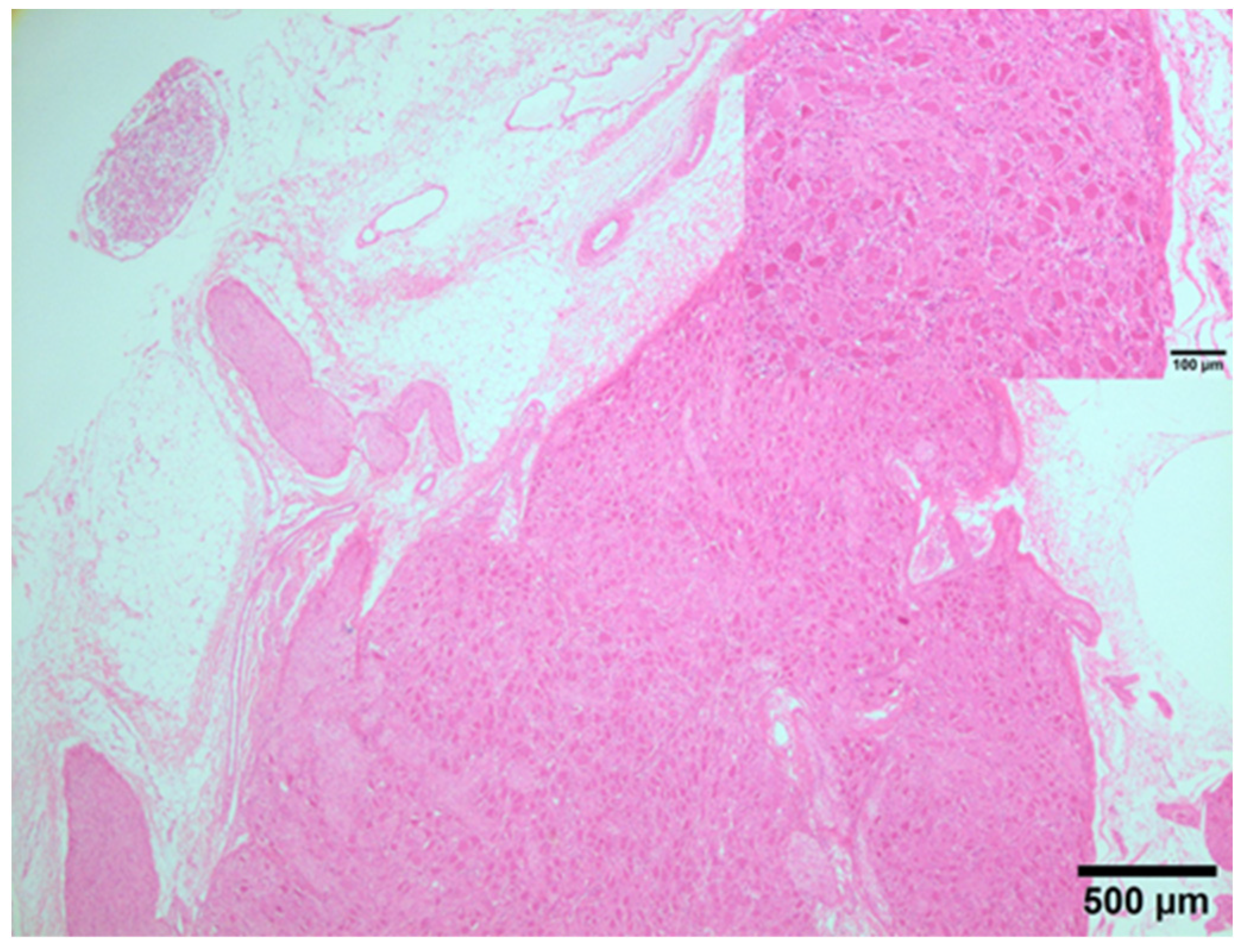 Animals 14 01478 g005