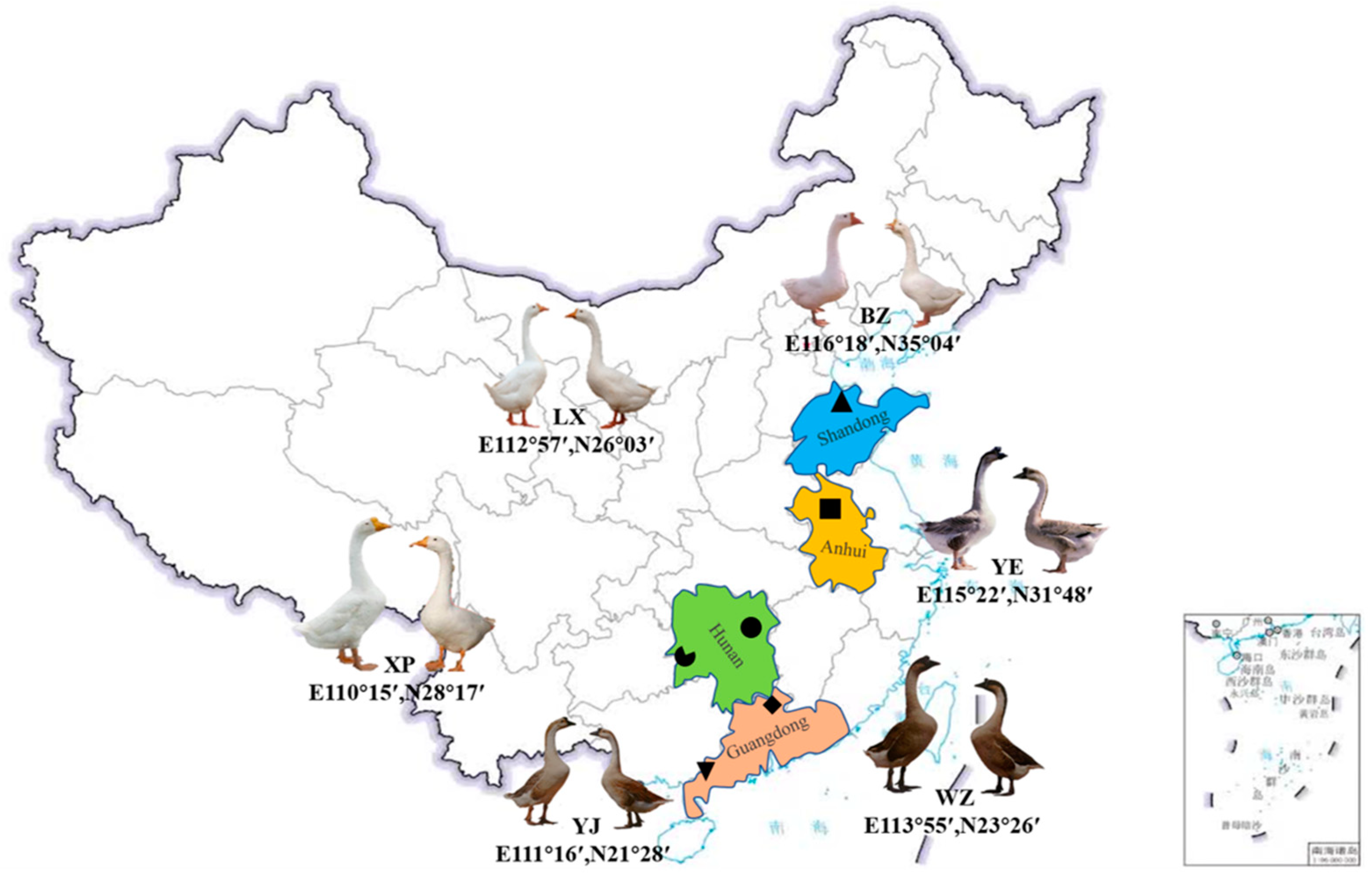 Animals 14 01480 g001