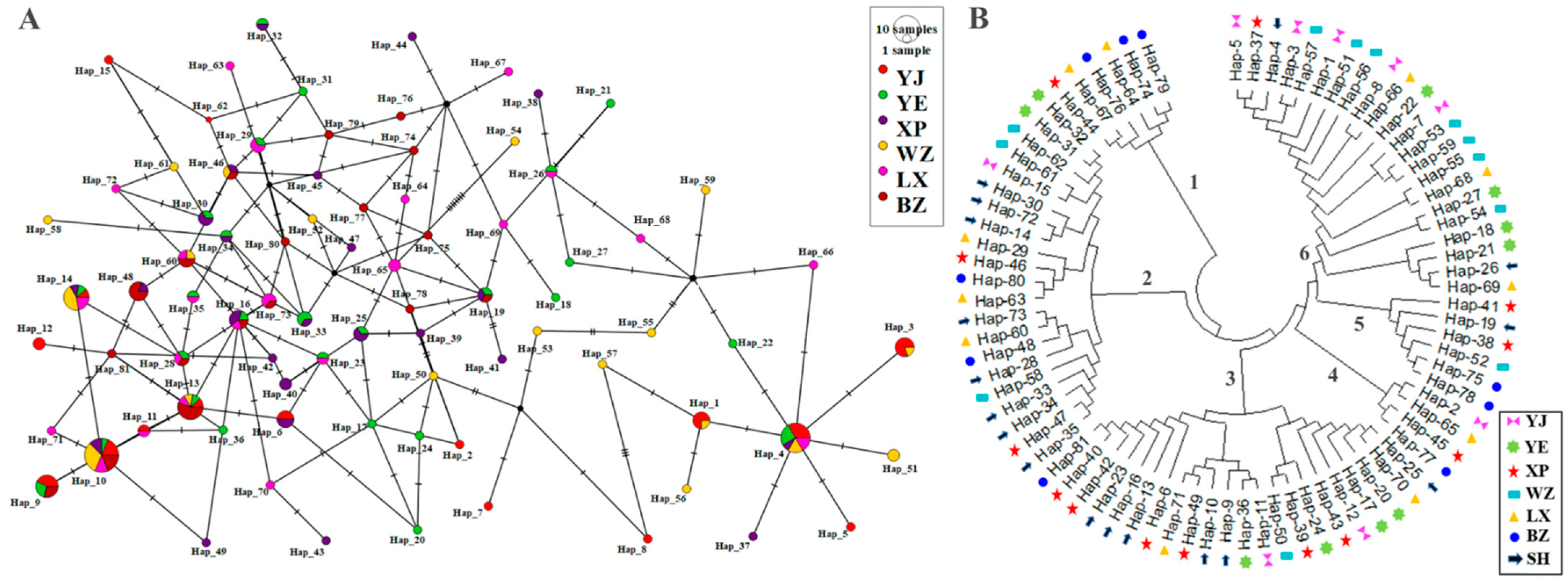 Animals 14 01480 g005