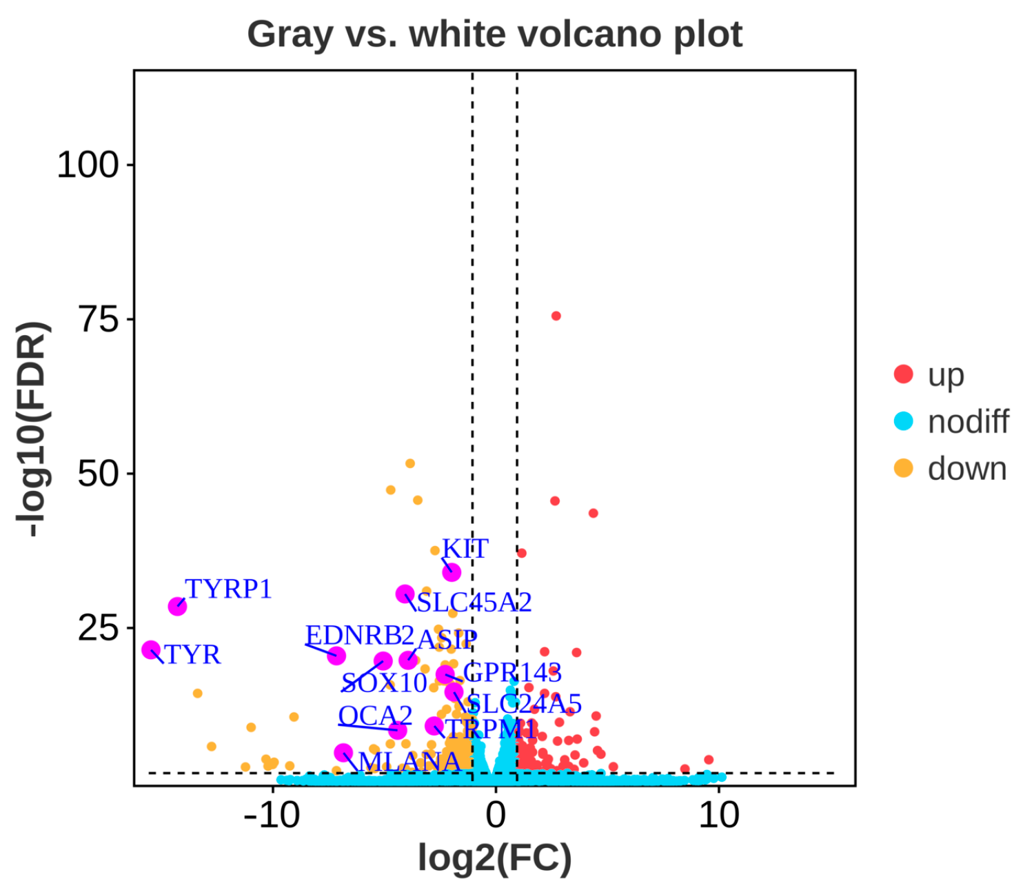 Animals 14 01508 g002