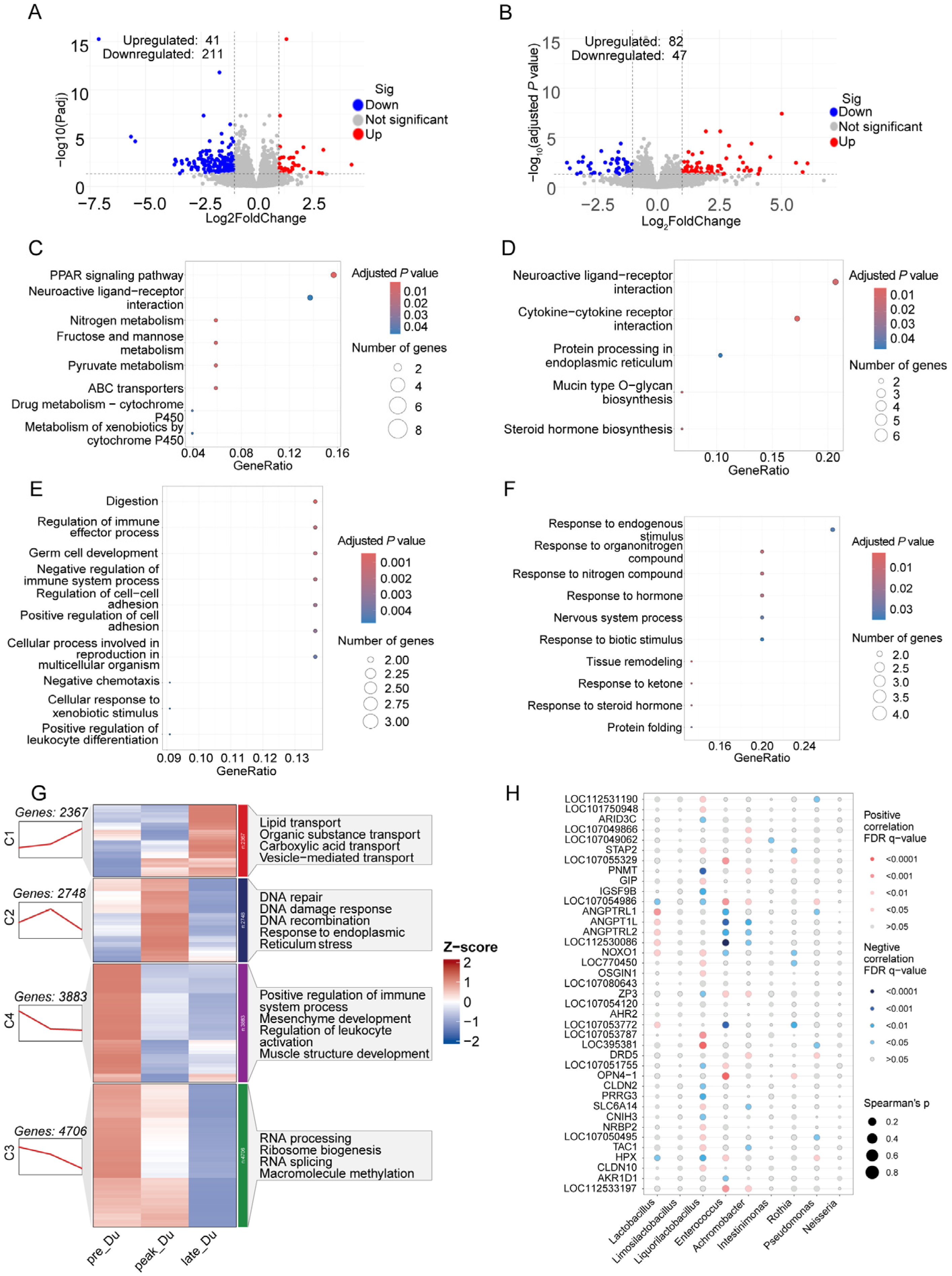 Animals 14 01529 g002