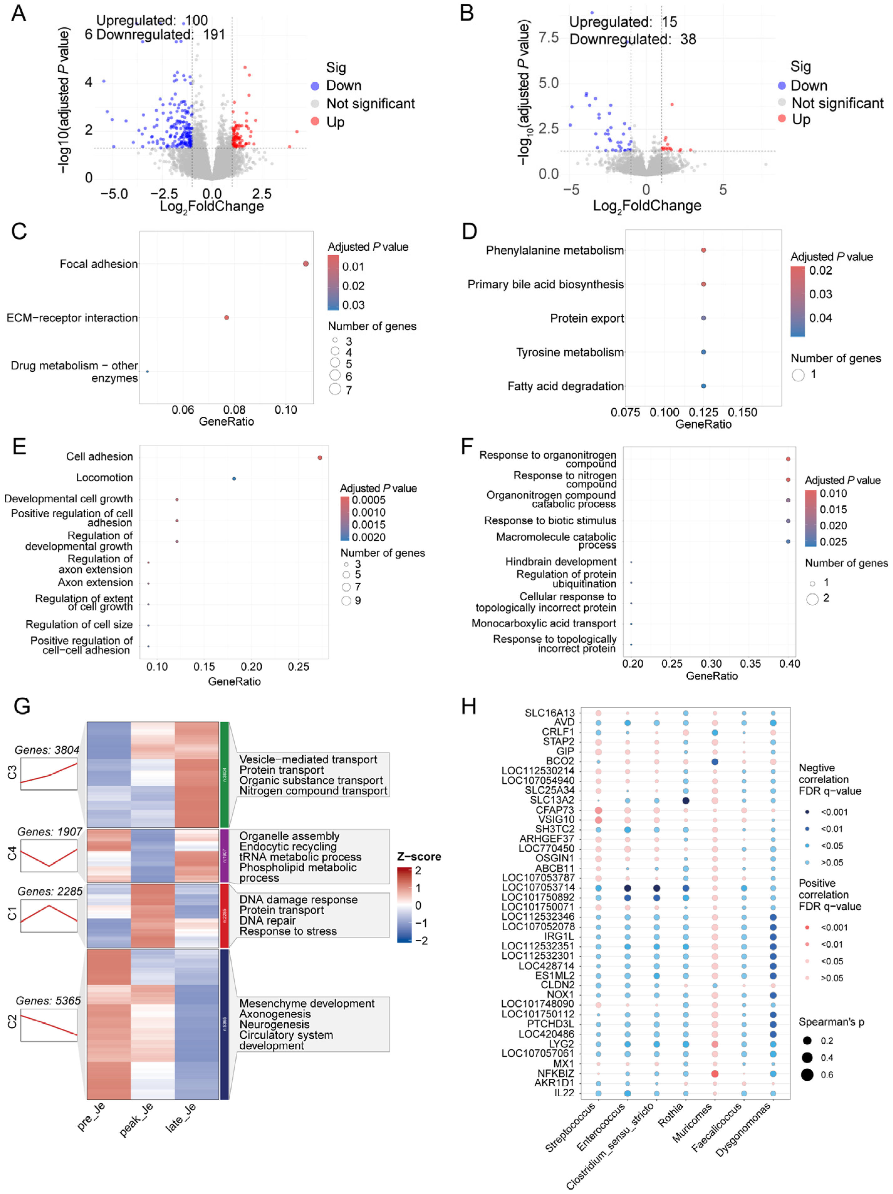 Animals 14 01529 g004