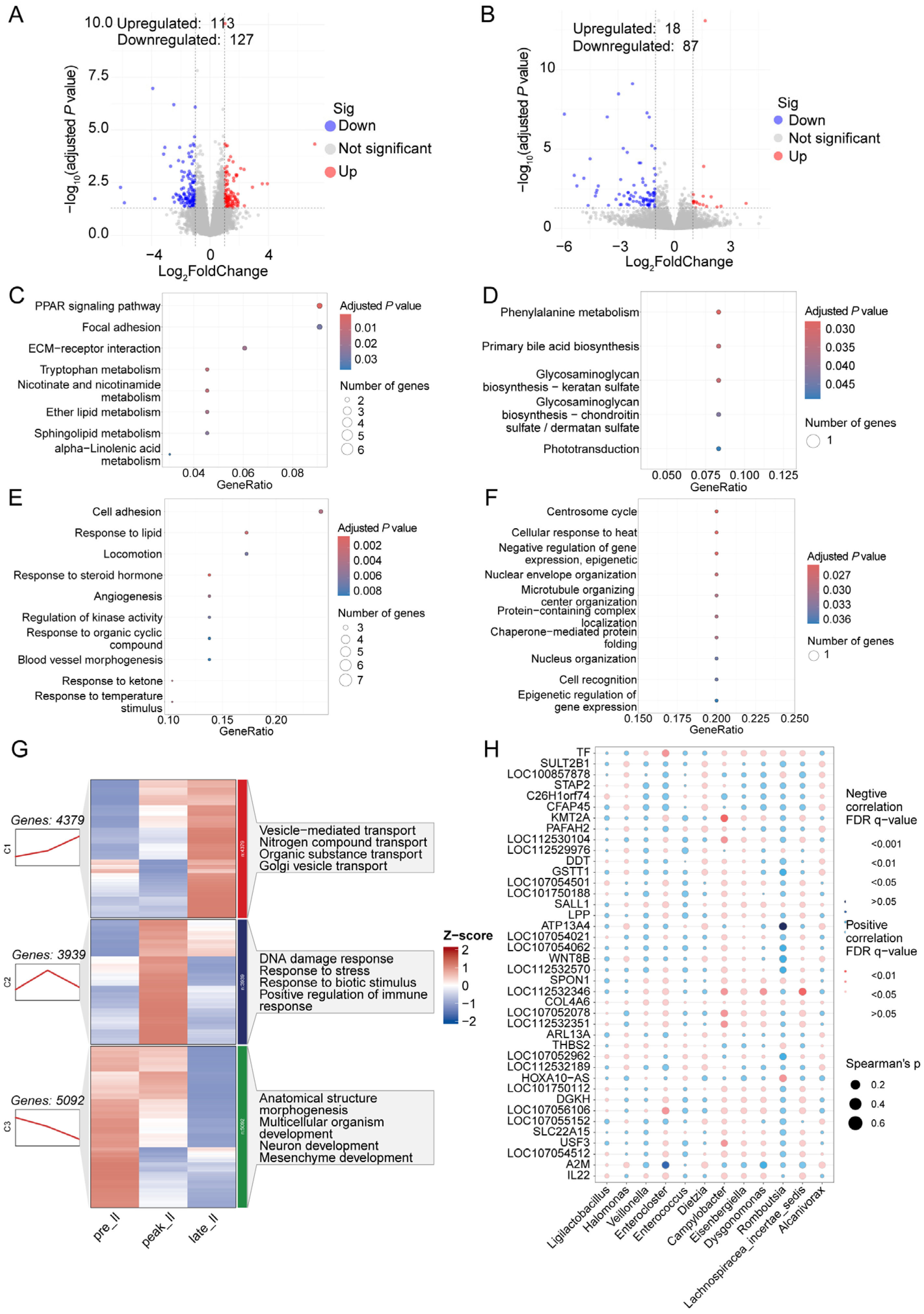 Animals 14 01529 g006
