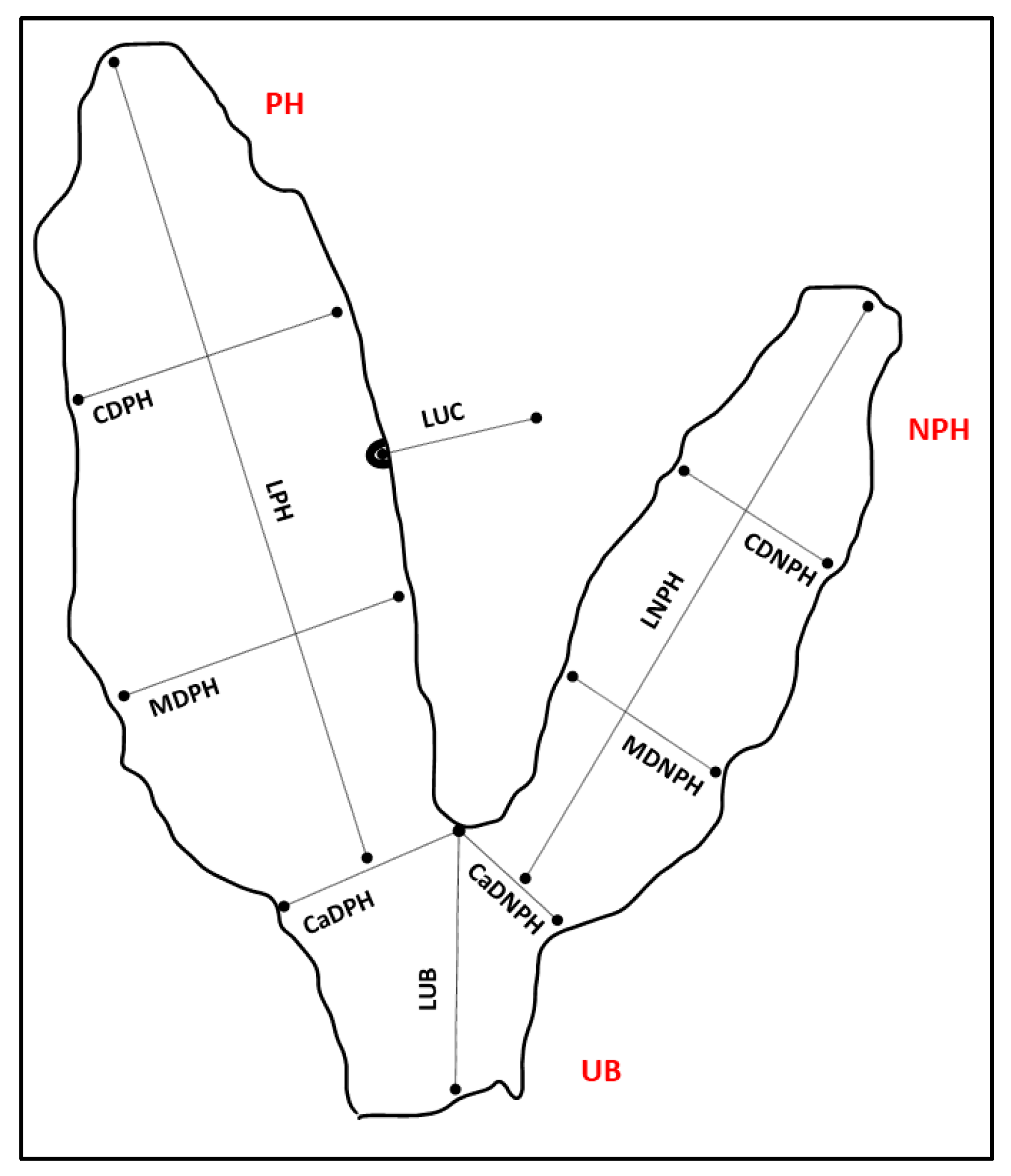 Animals 14 01553 g001 Animals 14 01553 g001