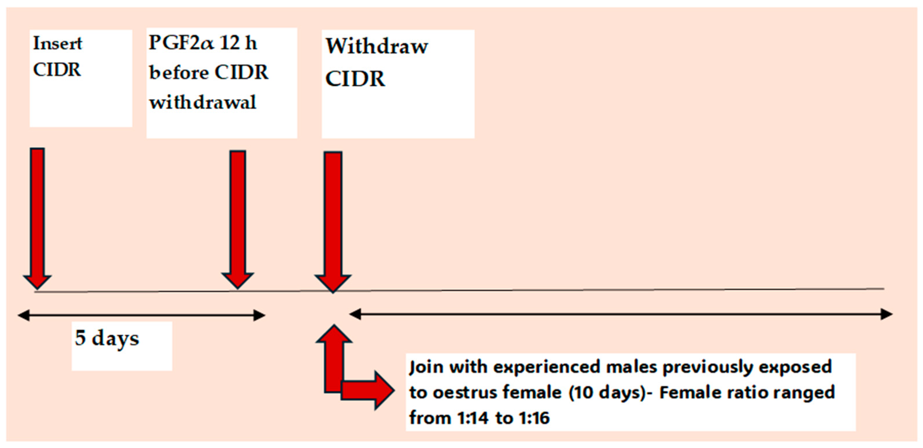Animals 14 01560 g004