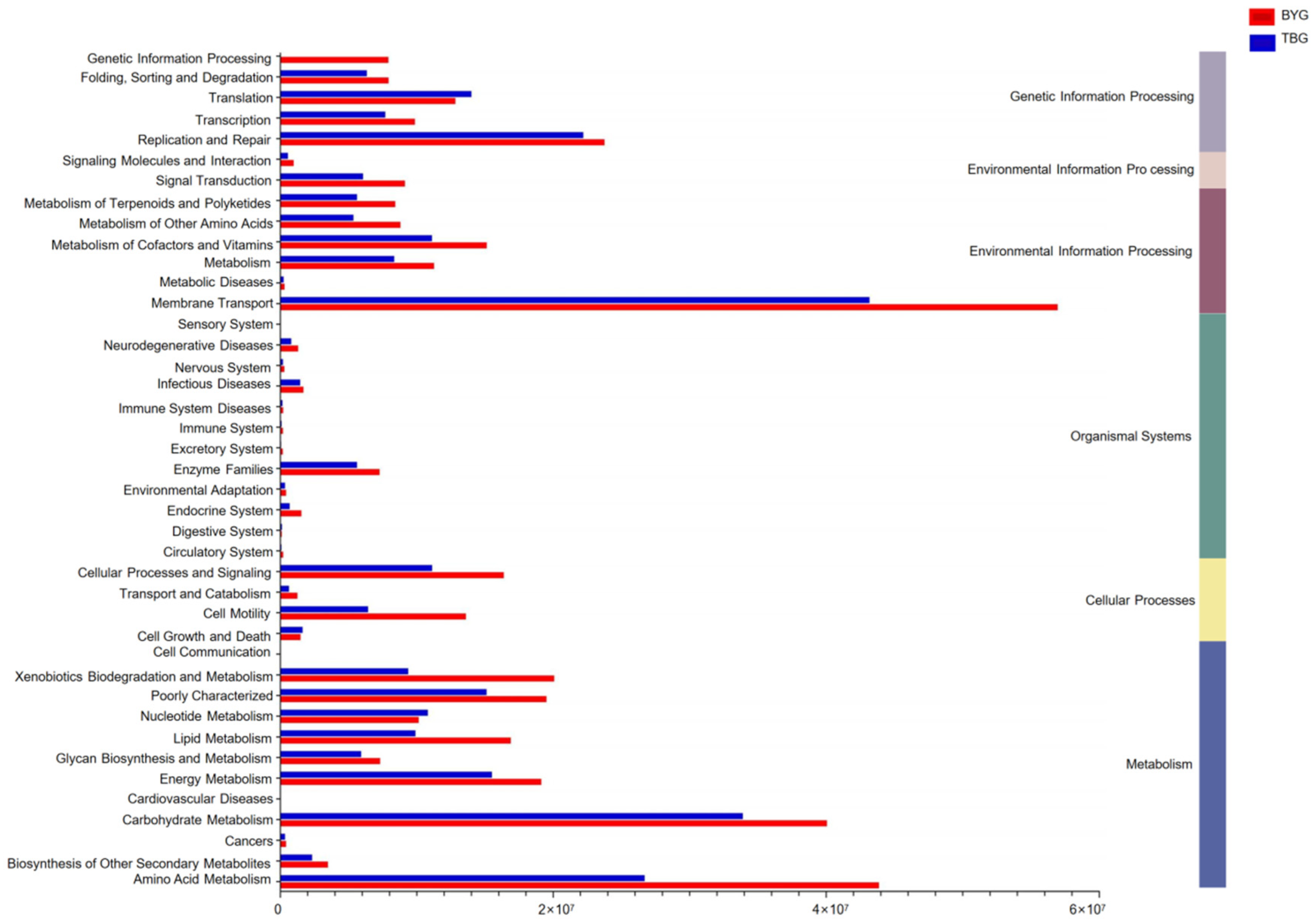 Animals 14 01566 g005