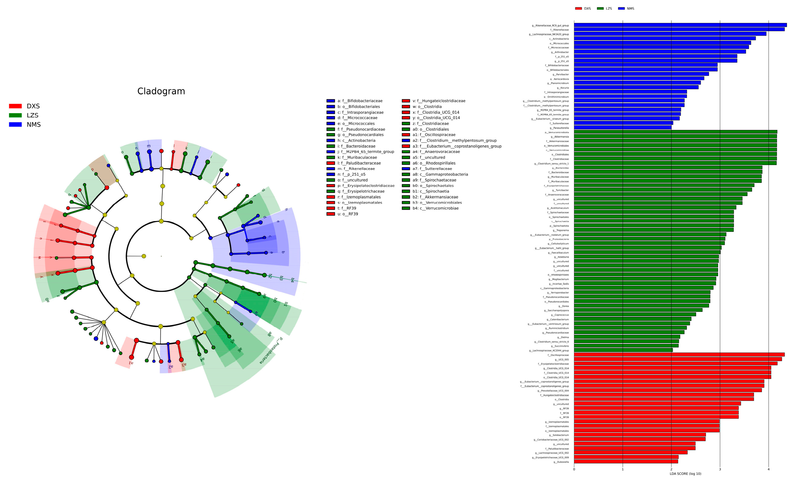 Animals 14 01570 g006