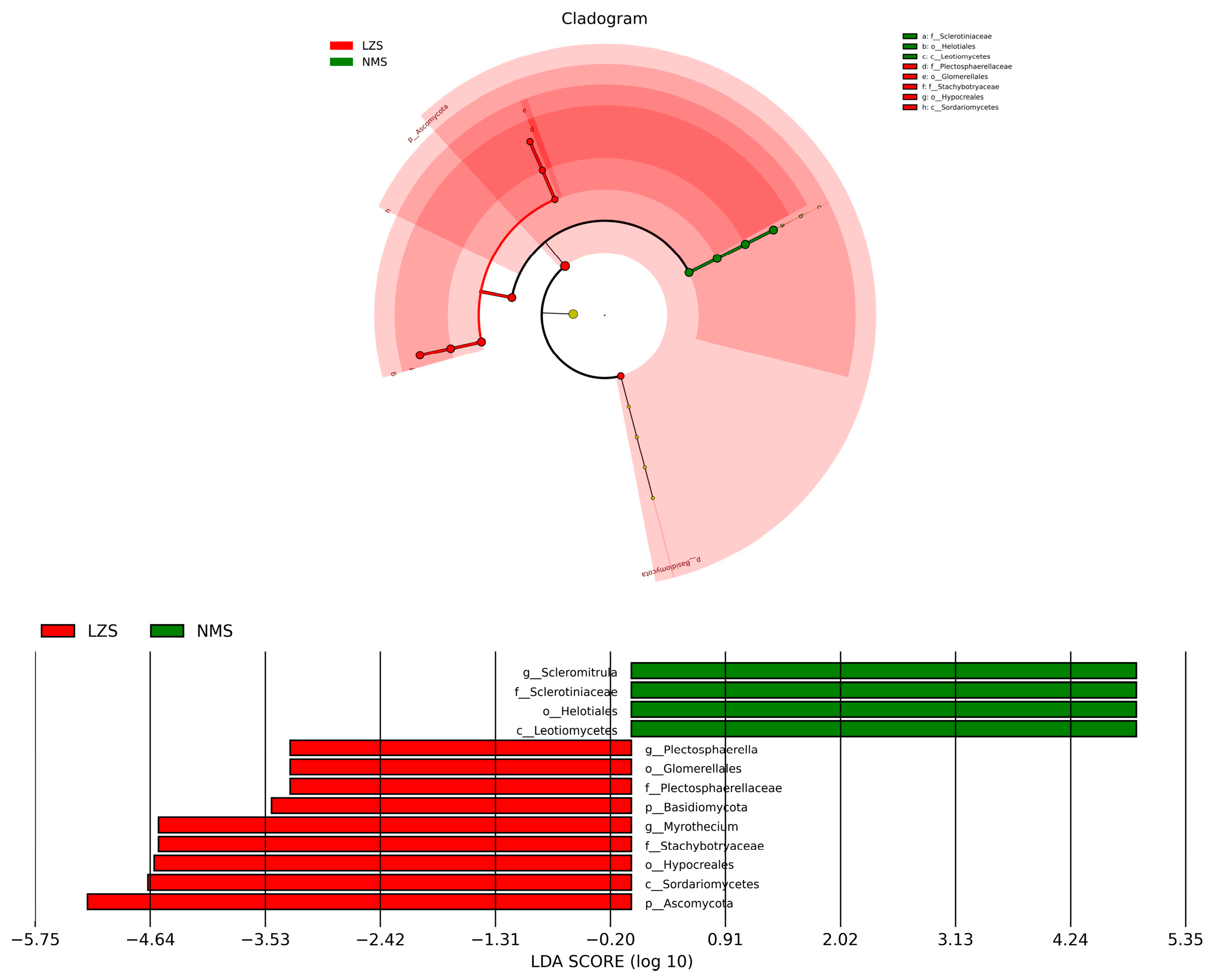 Animals 14 01570 g009