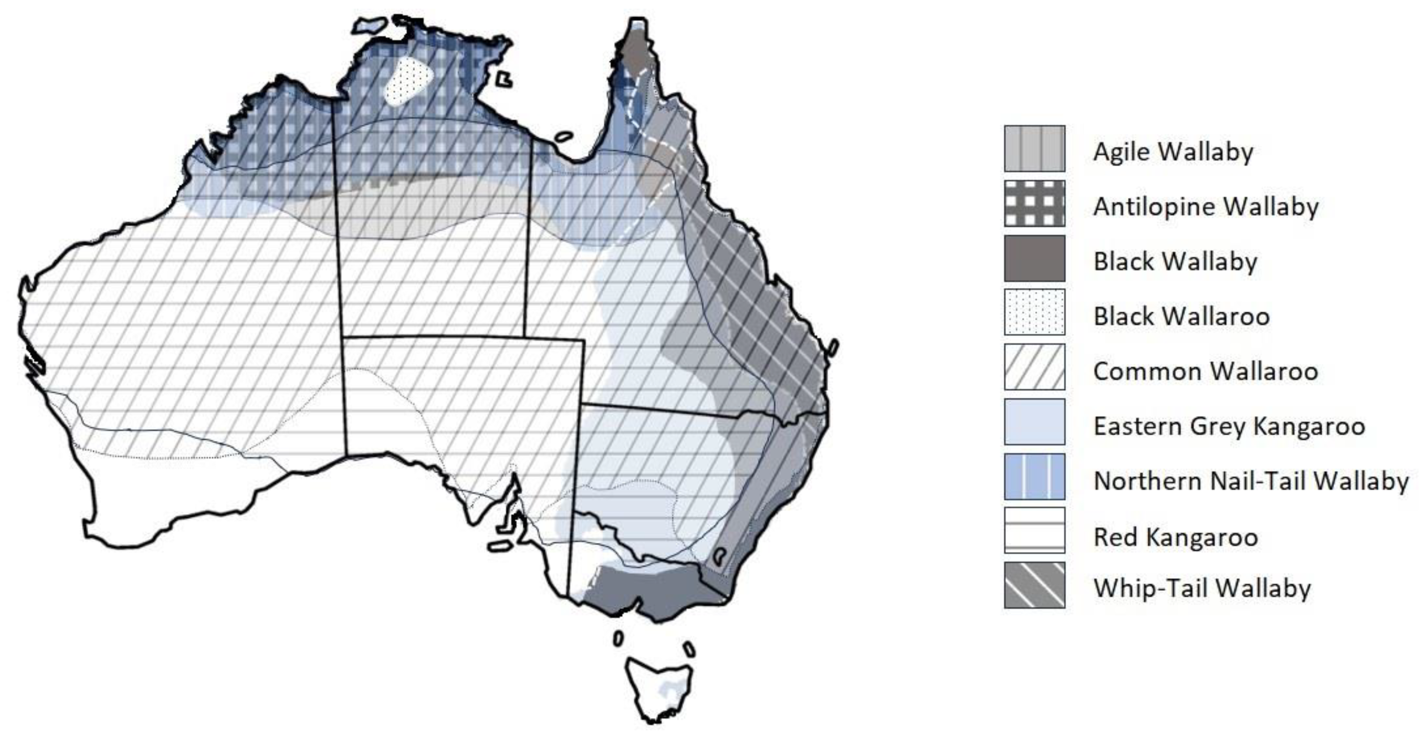 Animals 14 01576 g002