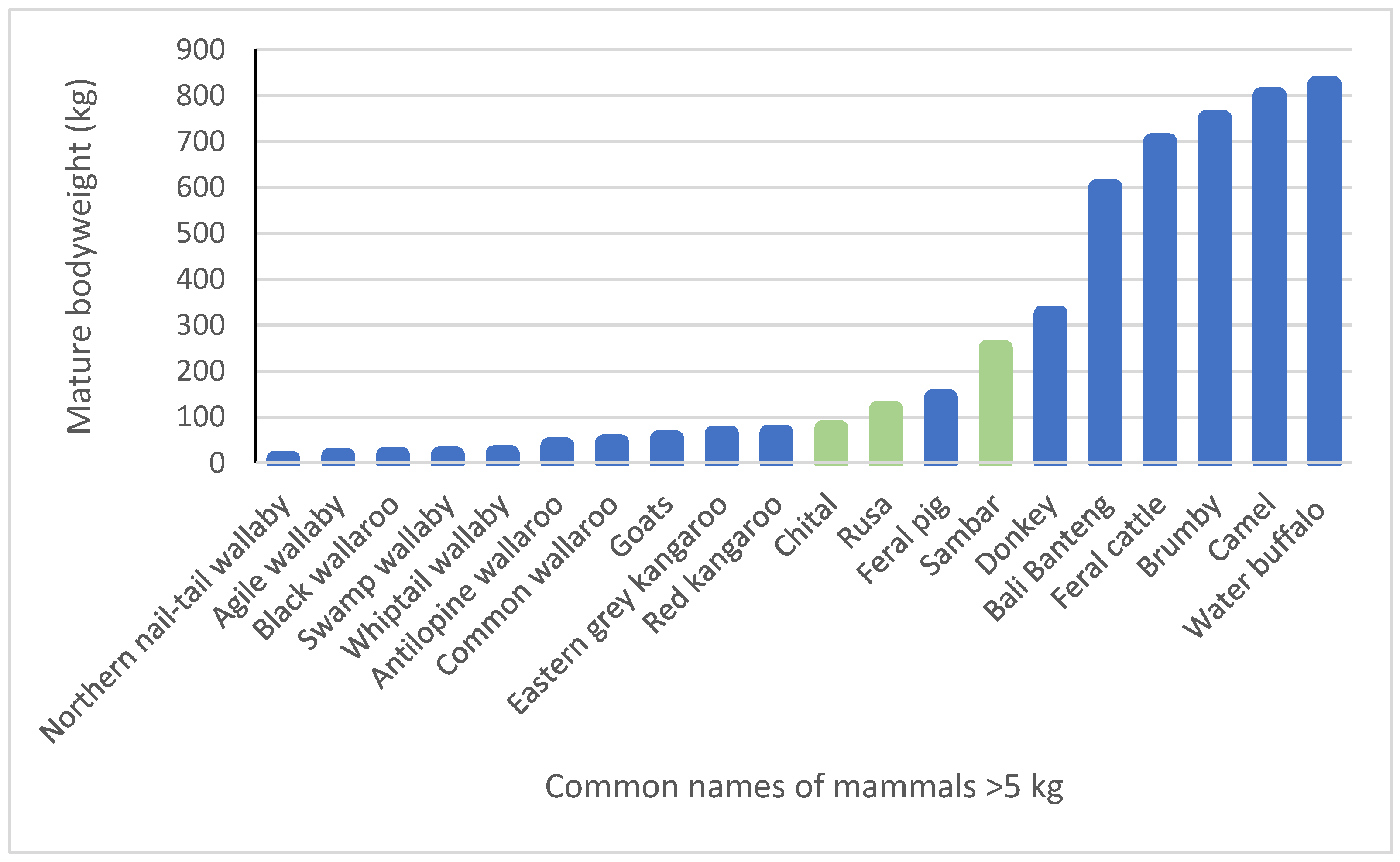 Animals 14 01576 g004