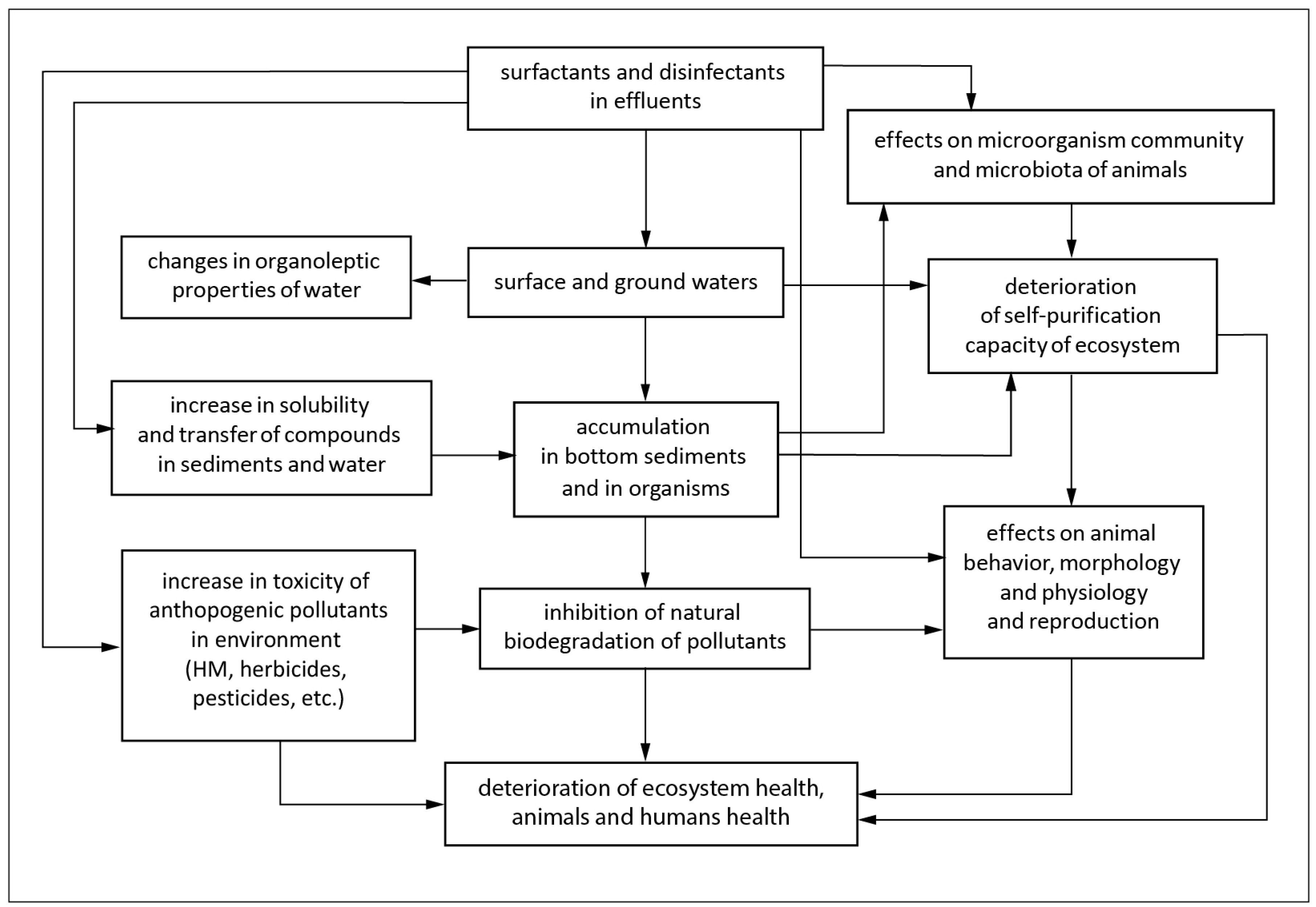 Animals 14 01584 g001
