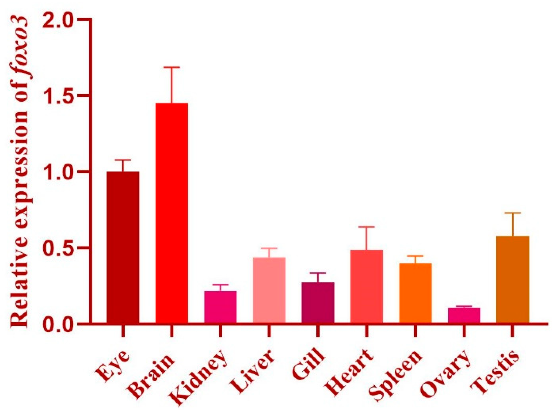 Animals 14 01587 g002