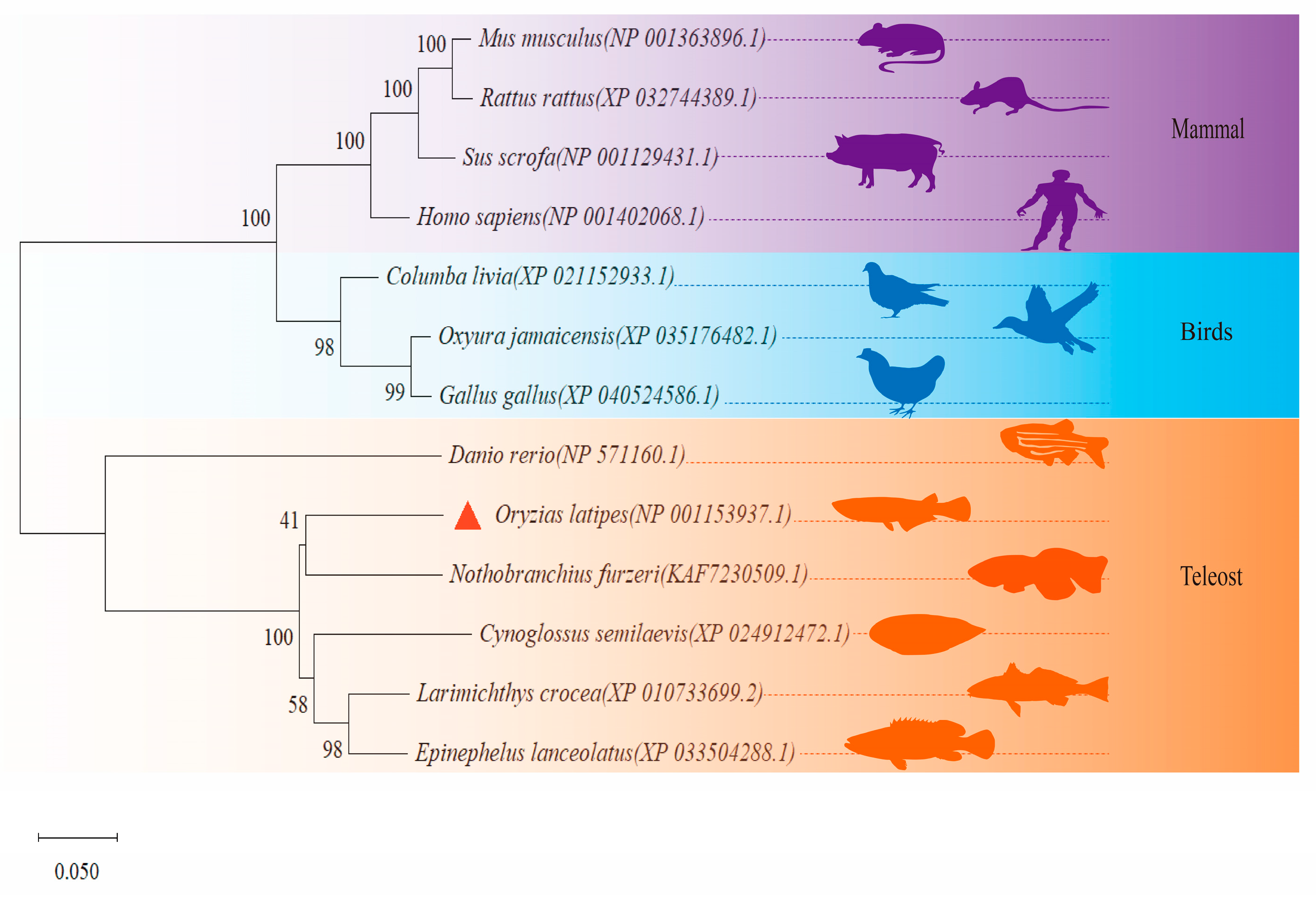 Animals 14 01587 g003